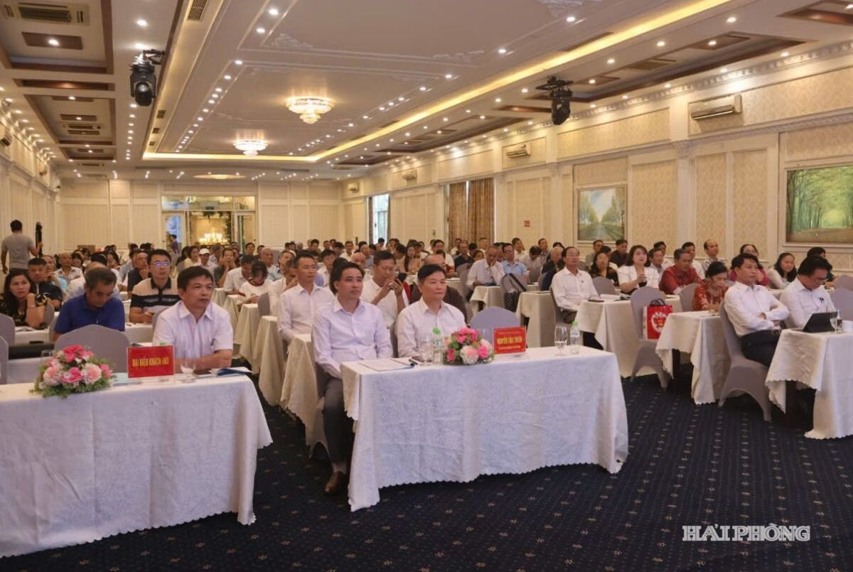 hoi-dong-y-thanh-pho.jpg