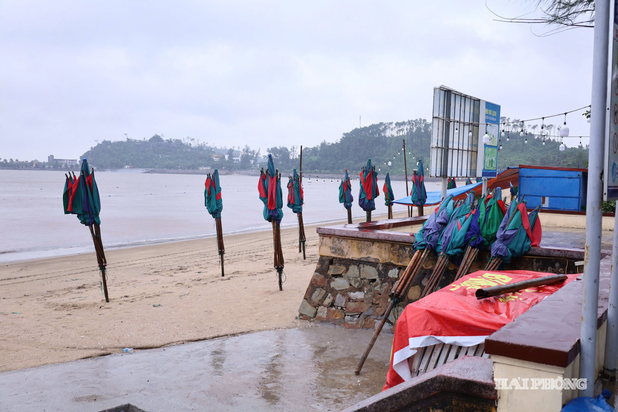 1787383230899_1584118967307175730_2136088328272728173_bc2fbad3989dd5a2ece22dced0a1f155.jpg