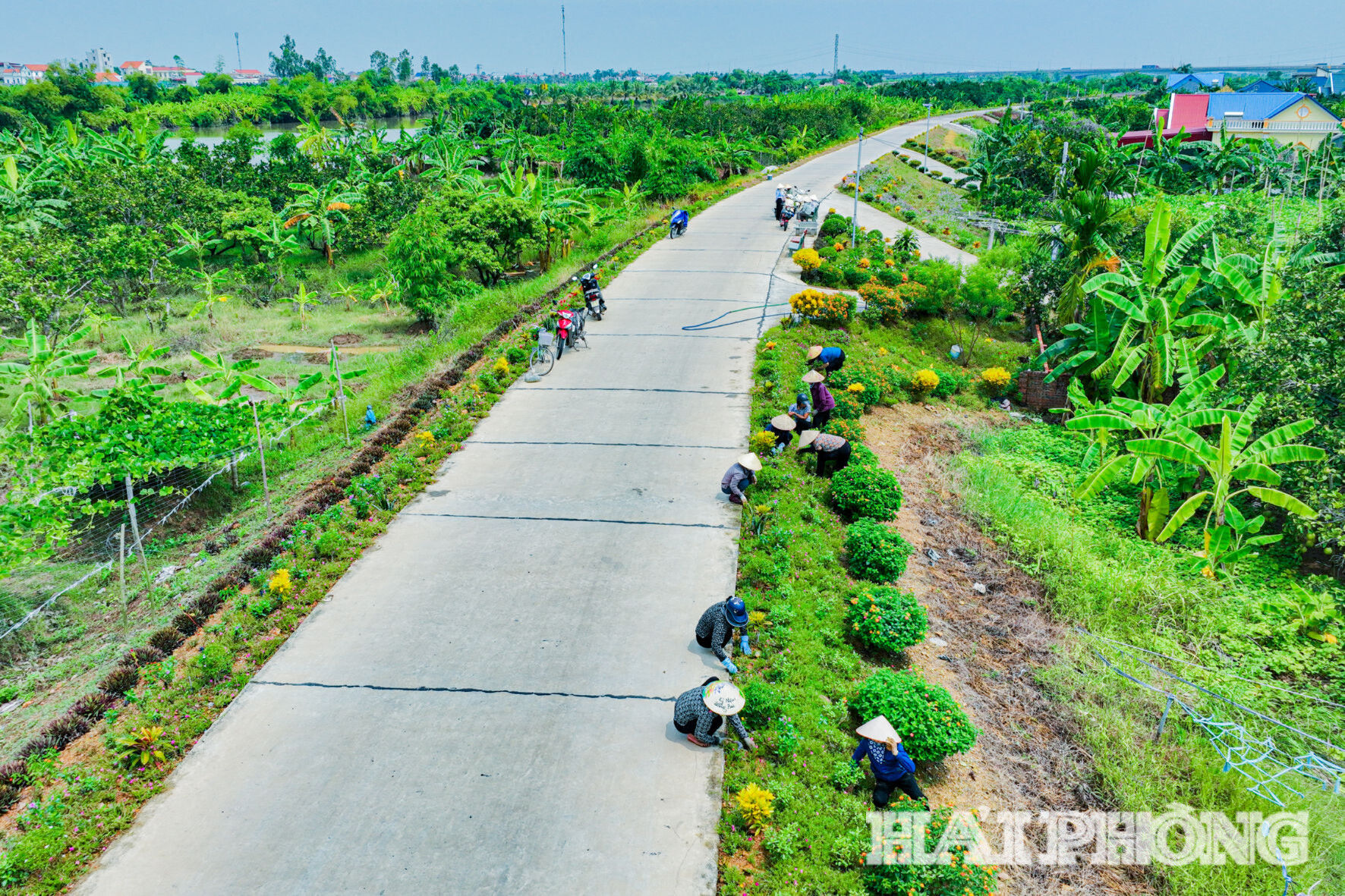 dji_0248.jpg