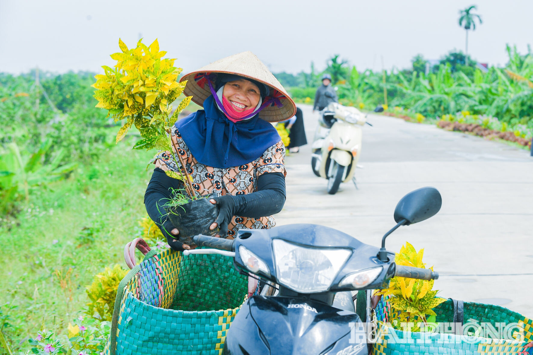 hoa-va-cay-canh.jpg