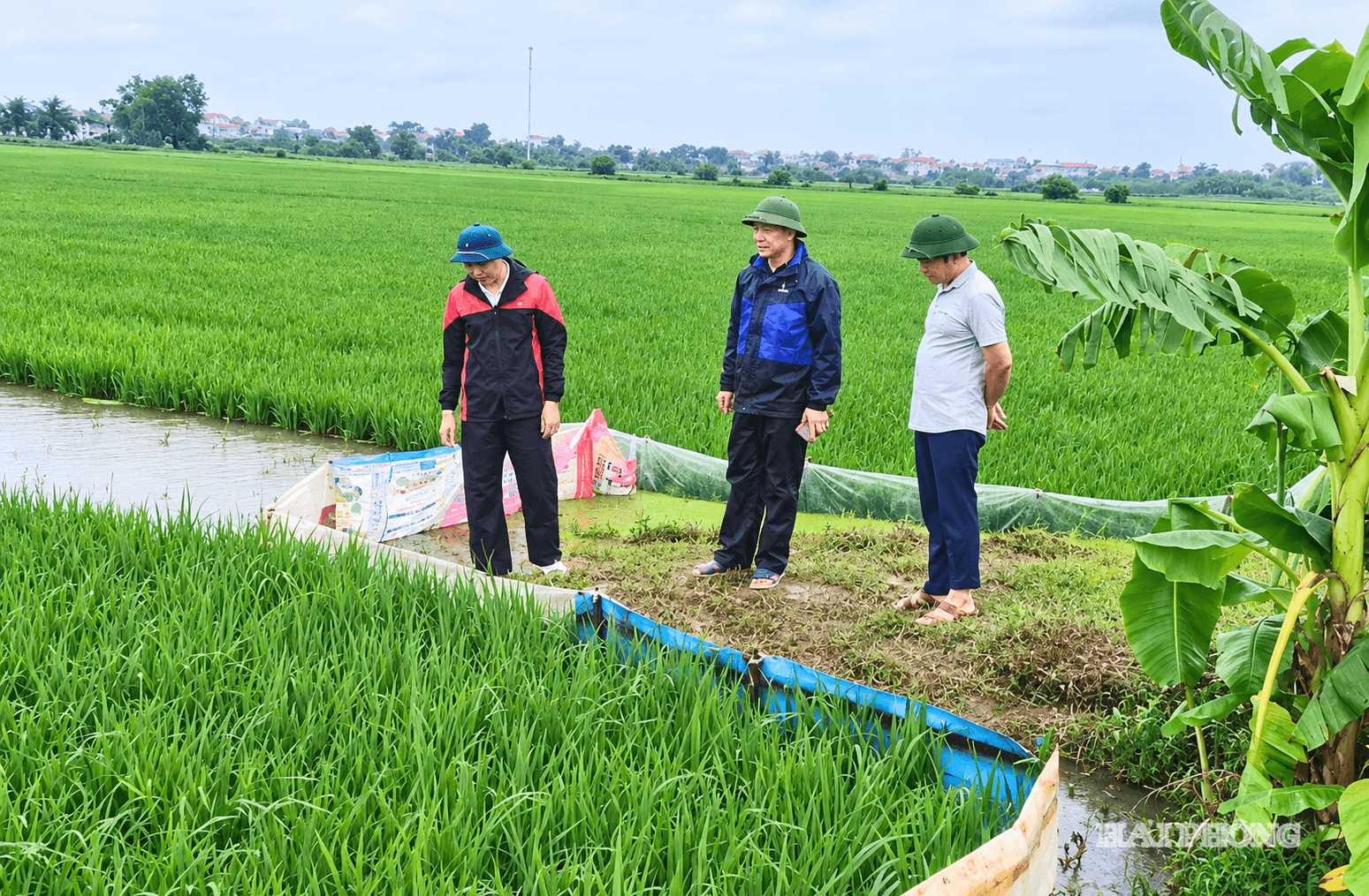Chủ tịch UBND xã Khúc Thừa Dụ kiểm tra tình hình ngập úng trên địa bàn.