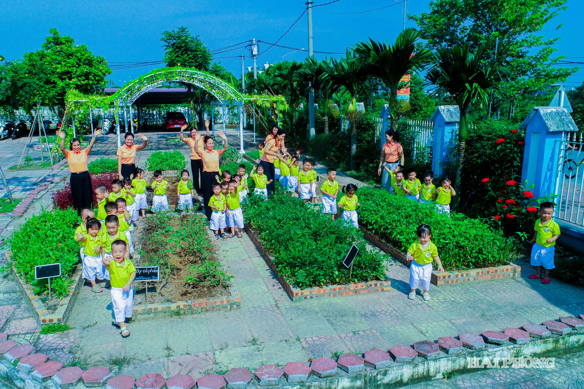 mam-non-lien-hong (3)