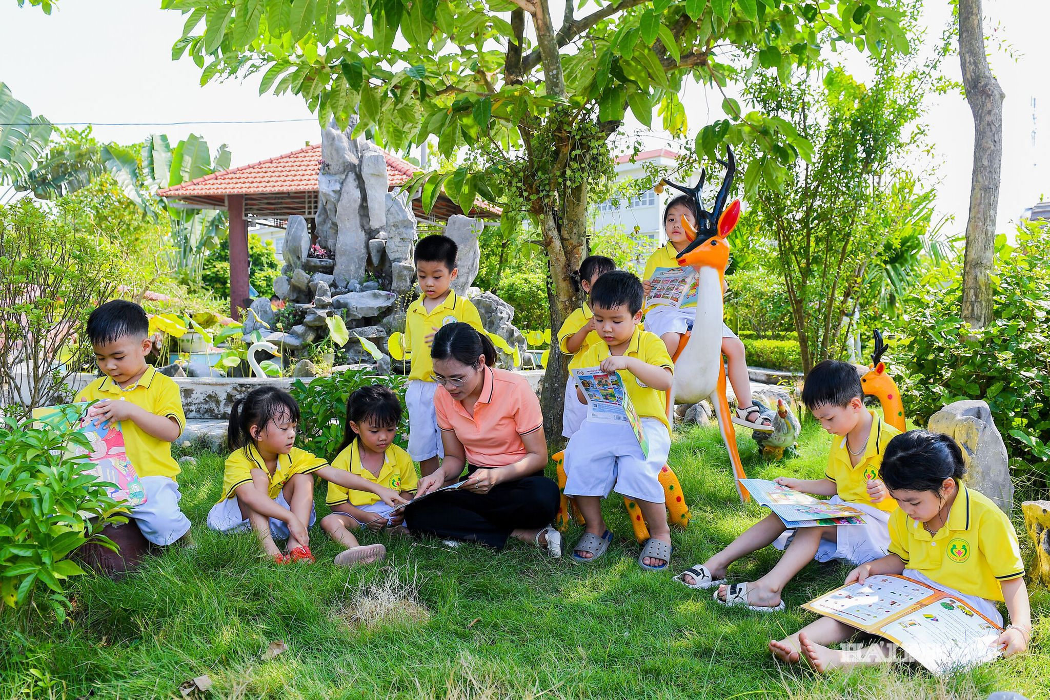 mam-non-lien-hong (7)