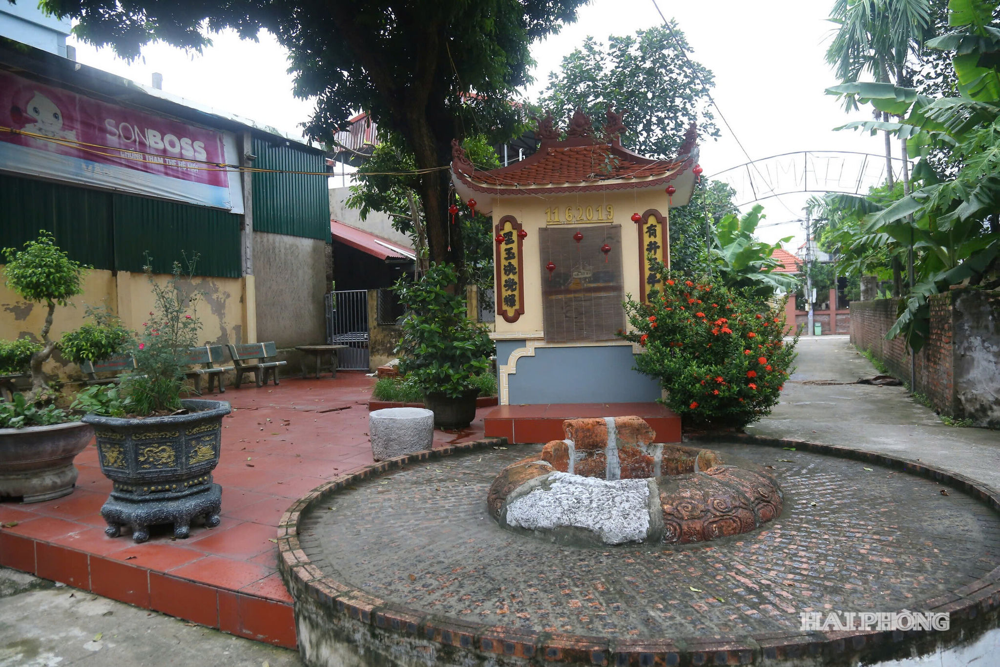 gieng-co-7.jpg