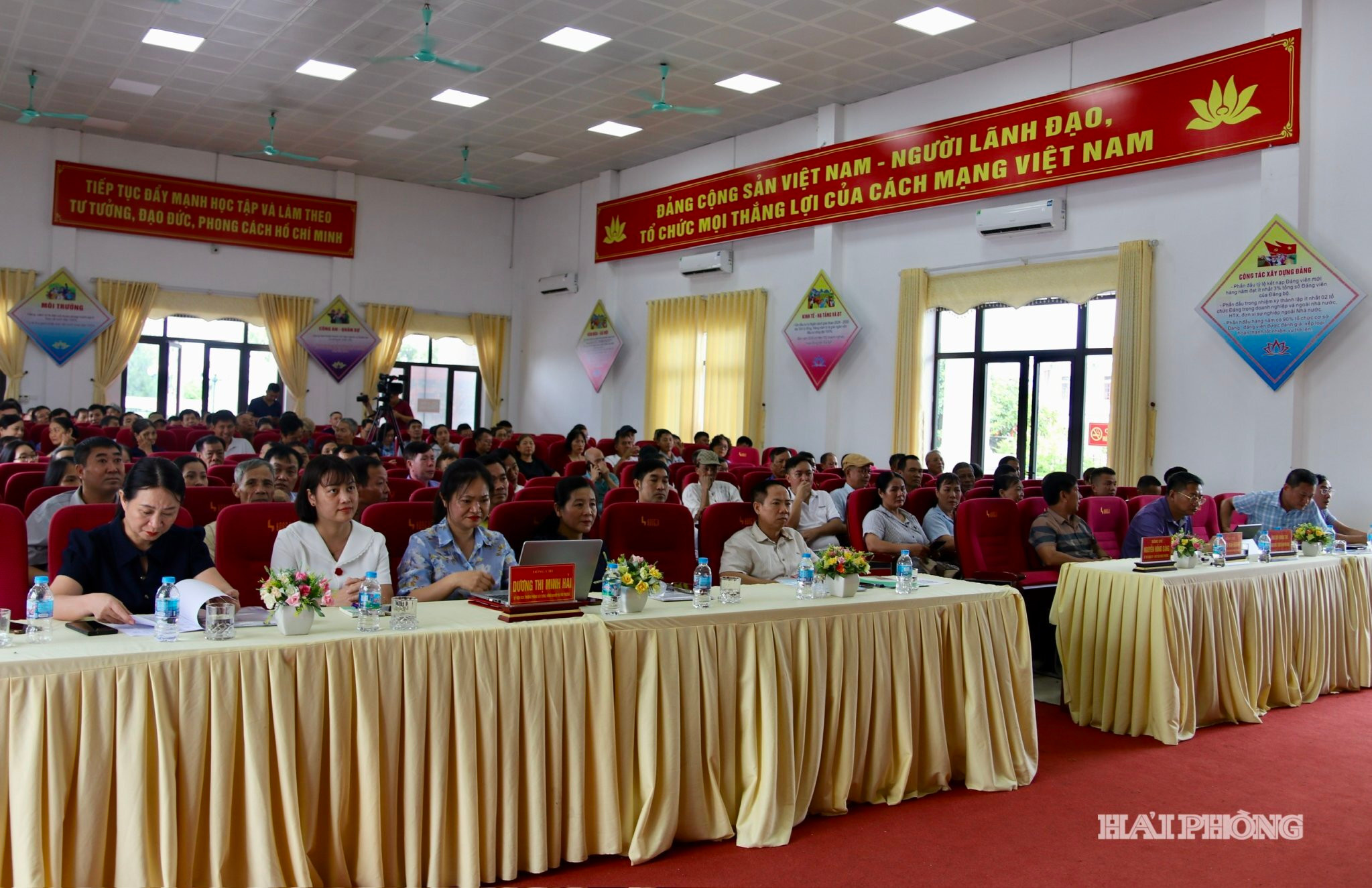 quang-canh-dien-dan.jpg