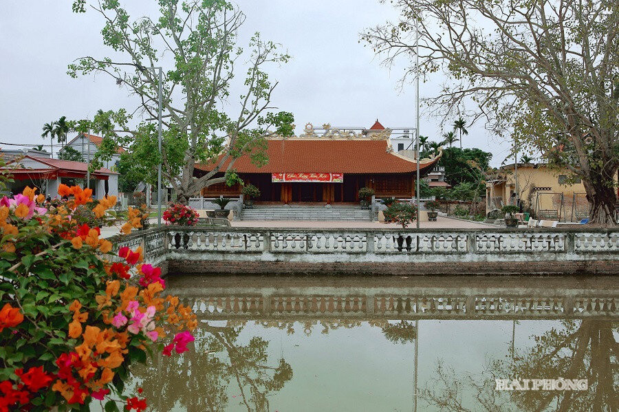 dinh-kim-son.jpg