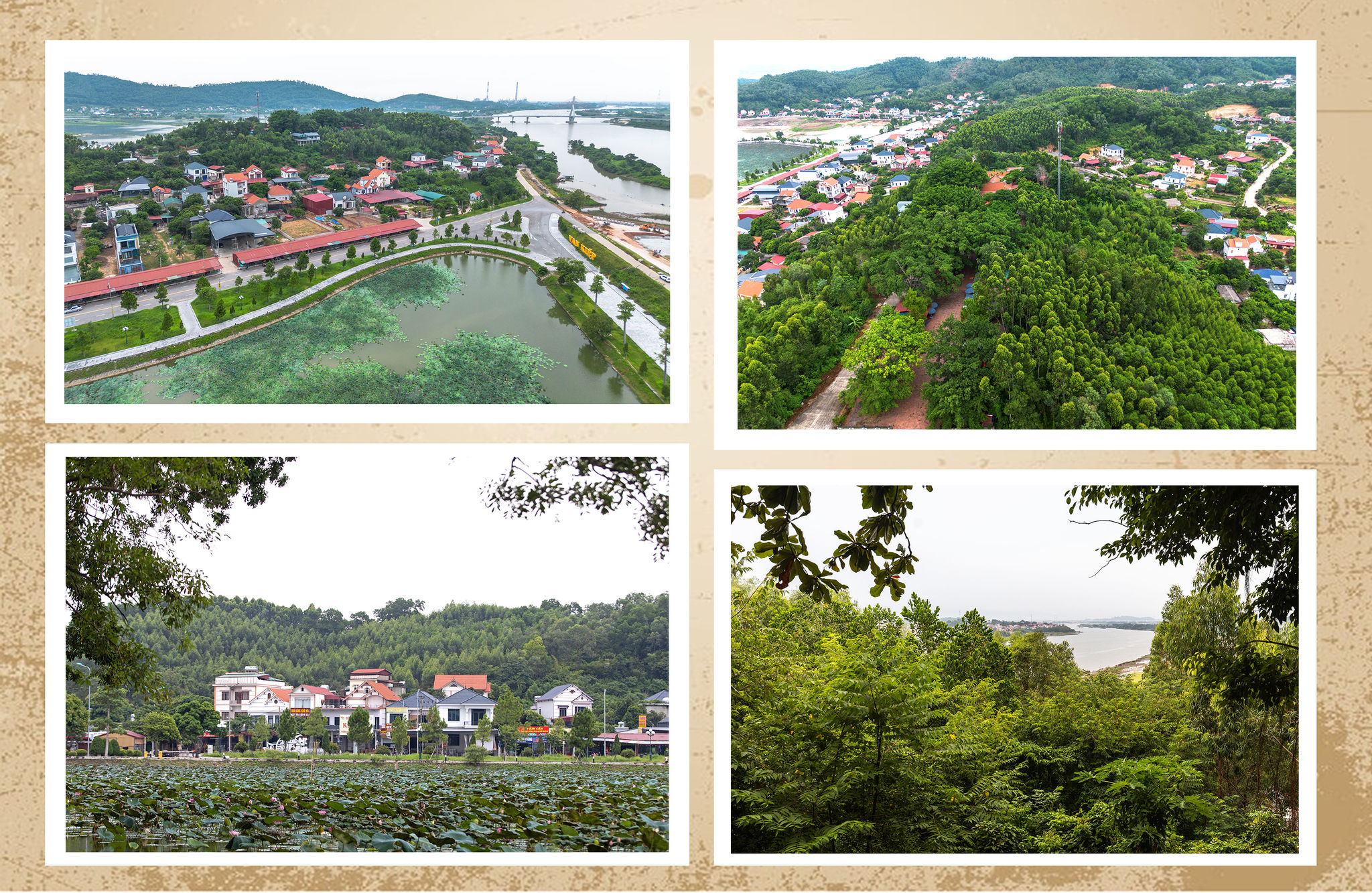 duoc-linh-co-vien.jpg