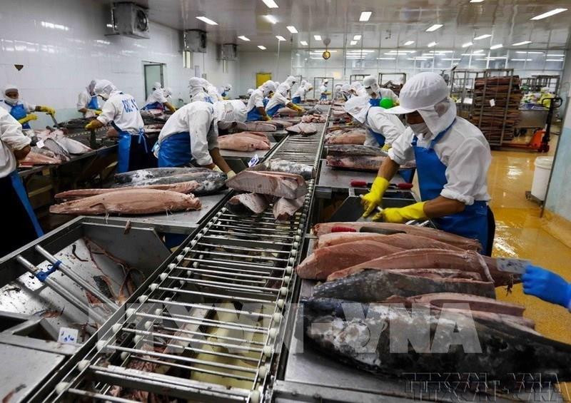 image.bnews.vn-mediaupload-org-2026-08-29-_171754-81-nam-quoc-khanh-2-9-40-nam-doi-moi-viet-nam-vung-buoc-tren-con-duong-phat-trien-va-hoi-nhap.jpg