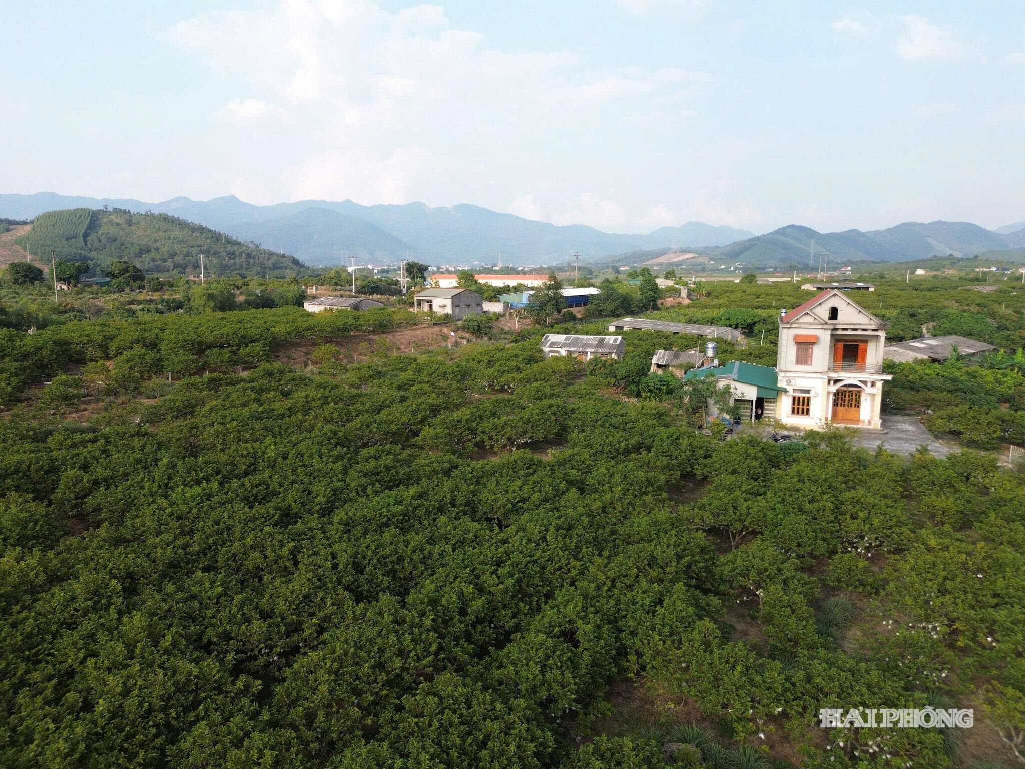 na-dat-doi-chi-linh-58d6ea12ef4cec6be43fae17c99b870b.jpg