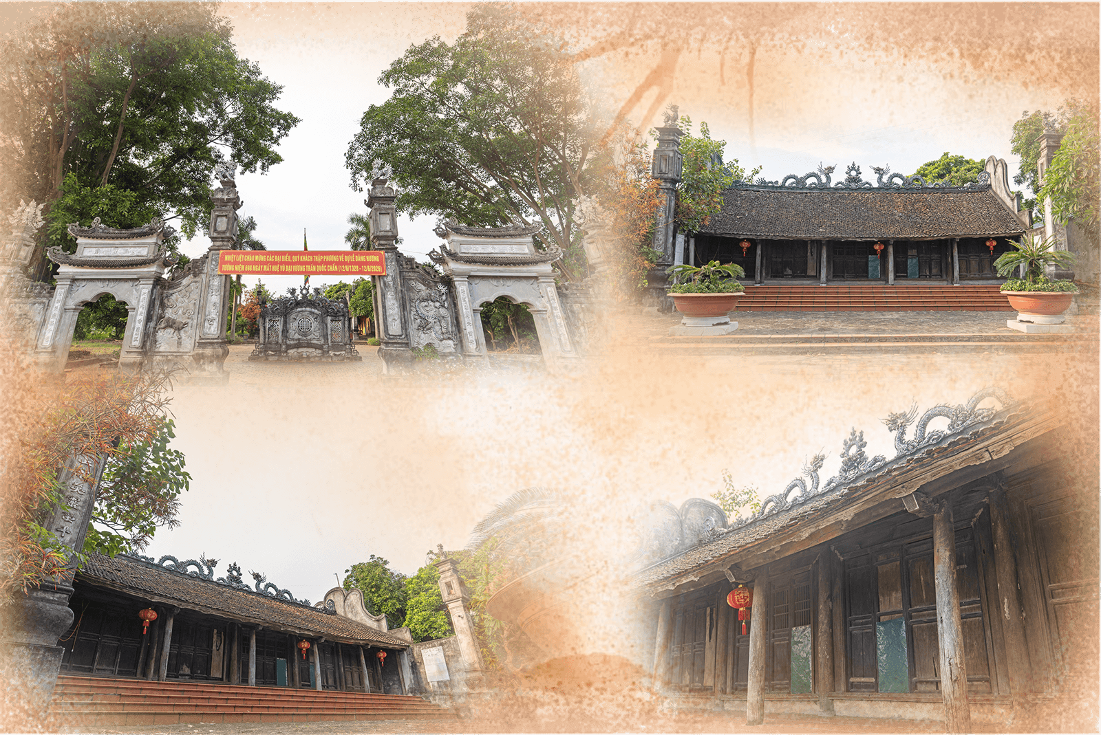 thuong-te-co-trach2(1).png