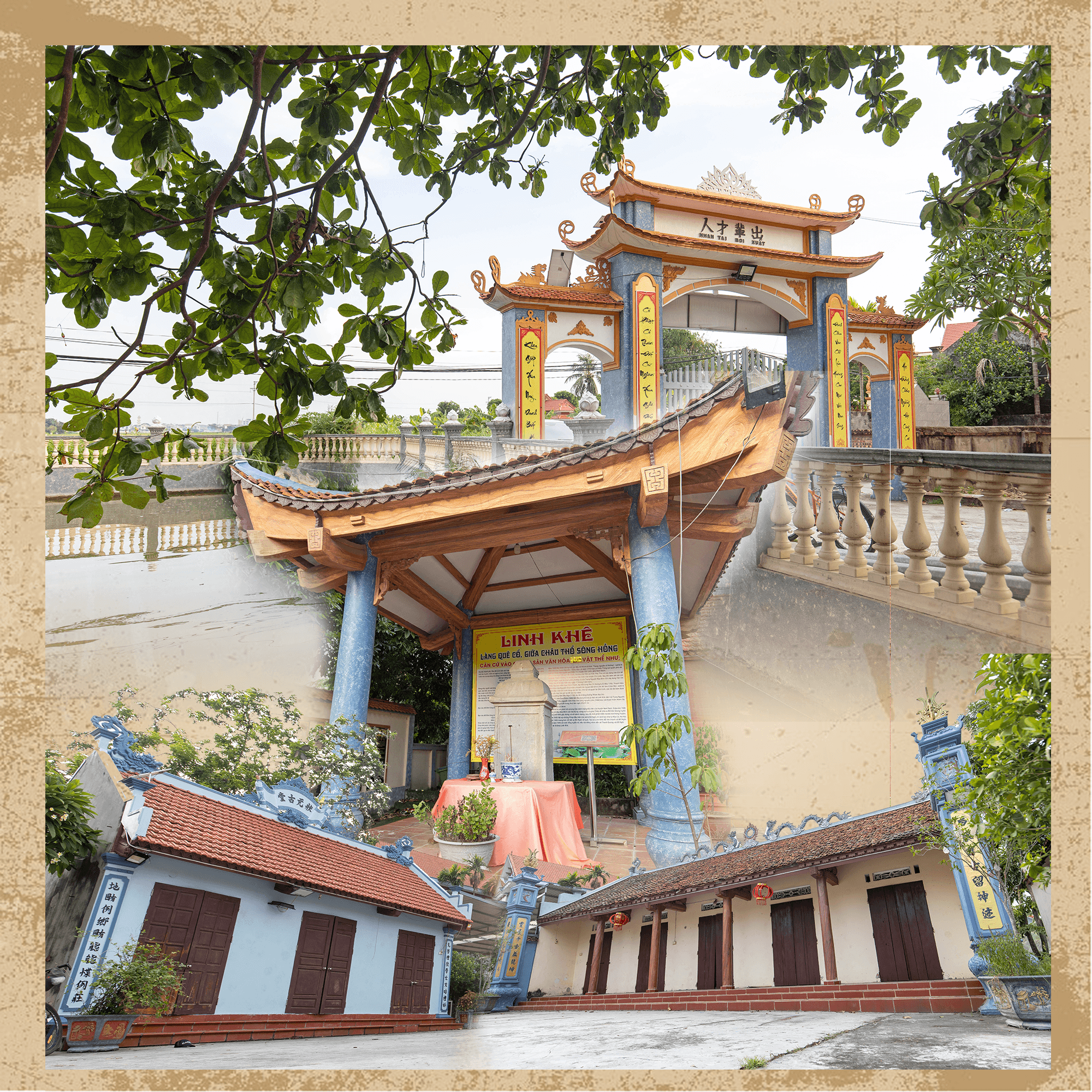 trang-nguyen-co-duong.png