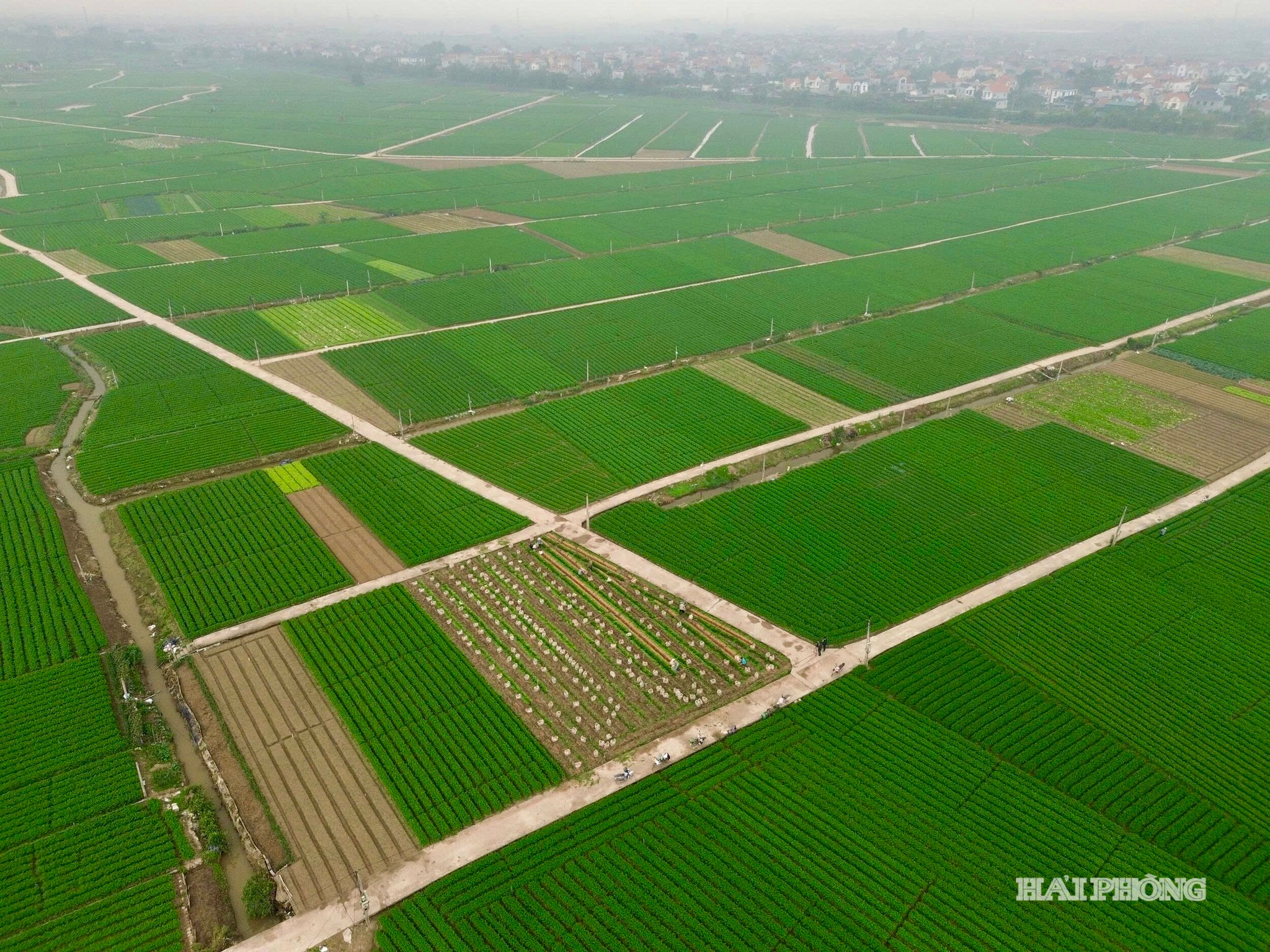 vung-ca-rot-tue-tinh-29fe6986d446a25d9939a49def872a3f.jpg