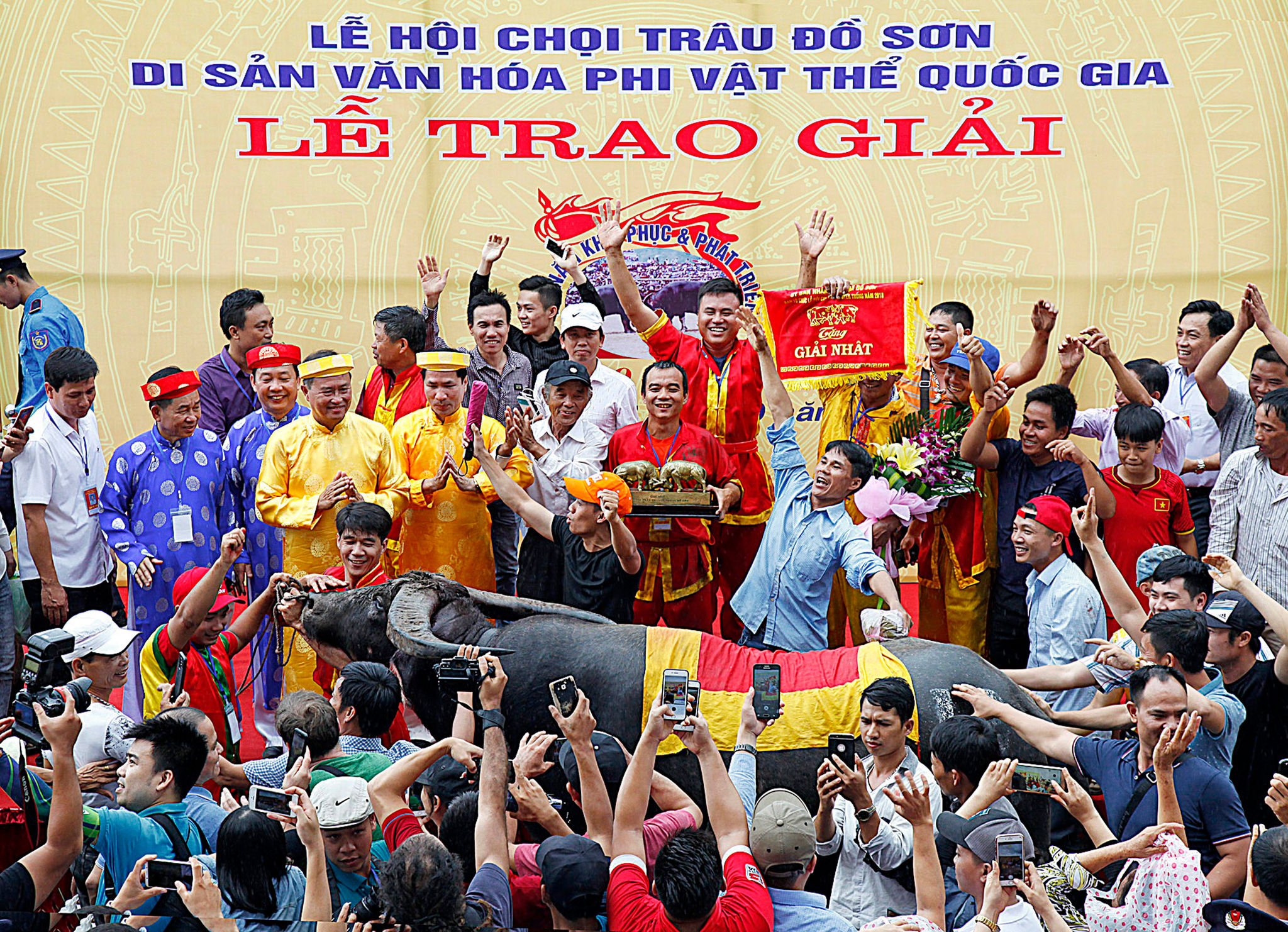 chu-trau-127e38cf03f56af34ad6e1b58e1253d3.jpg