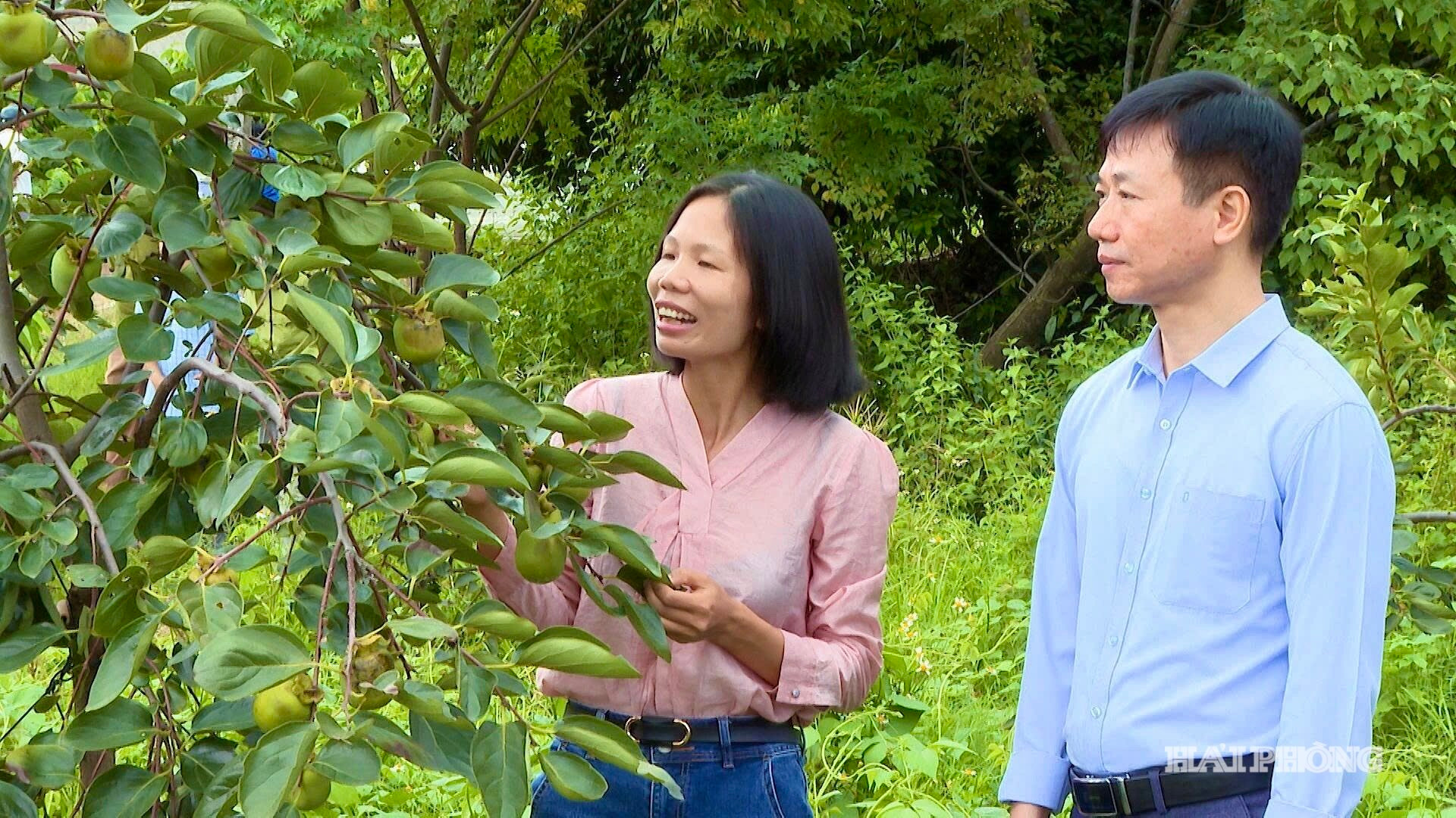 hong-ngam.jpg