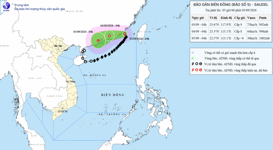 bao-1.png