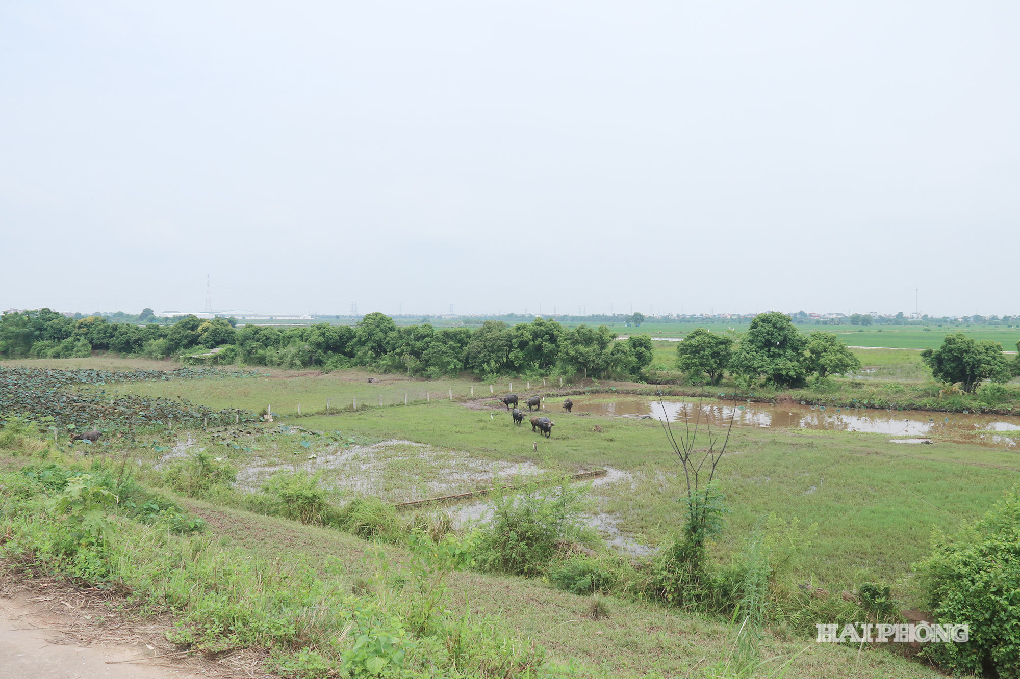 cang-noi-dia-1-.jpg