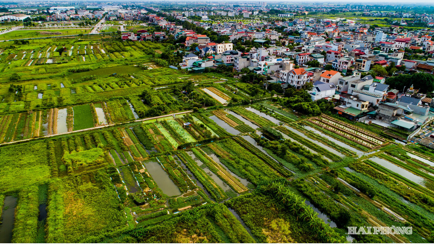 Nguồn cung bất động sản mở rộng kéo theo yêu cầu minh bạch pháp lý dự án trước khi nhận tiền của khách hàng (ảnh minh họa).