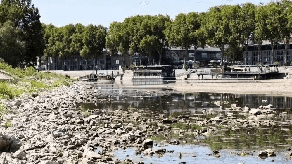song-loire.png