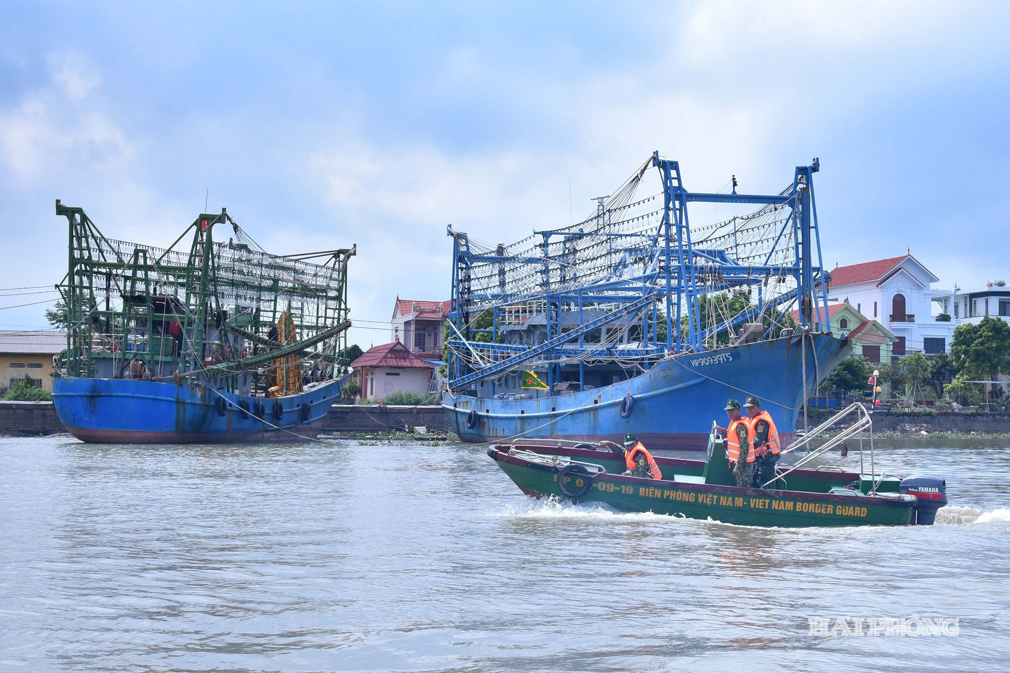 cang ca Mat Rong10