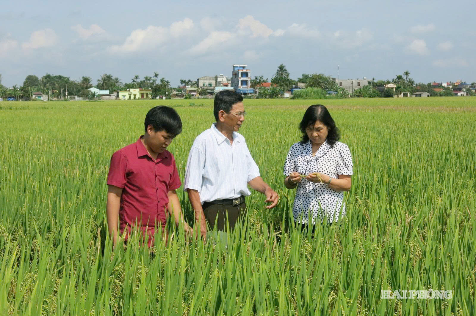 huong-bien-8cffcac27b8d0297b6cfe30cc751371f.jpg