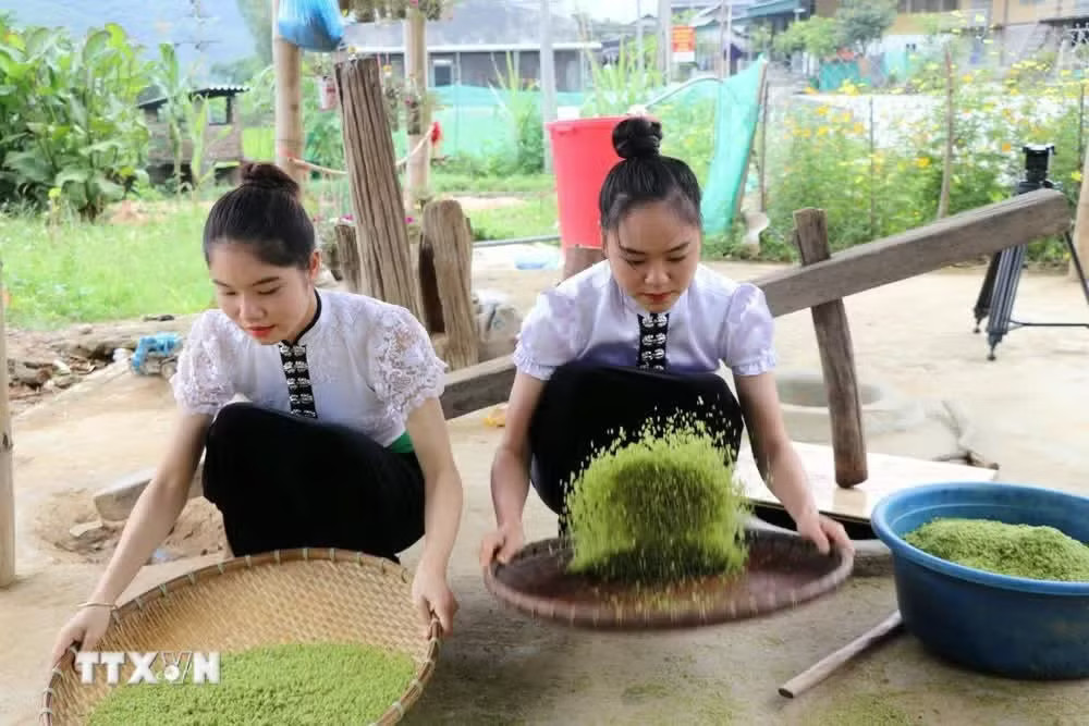 Các cô gái Thái làm cốm thuần thục. (Ảnh: Tiến Khánh/TTXVN) com-tu-le.jpg