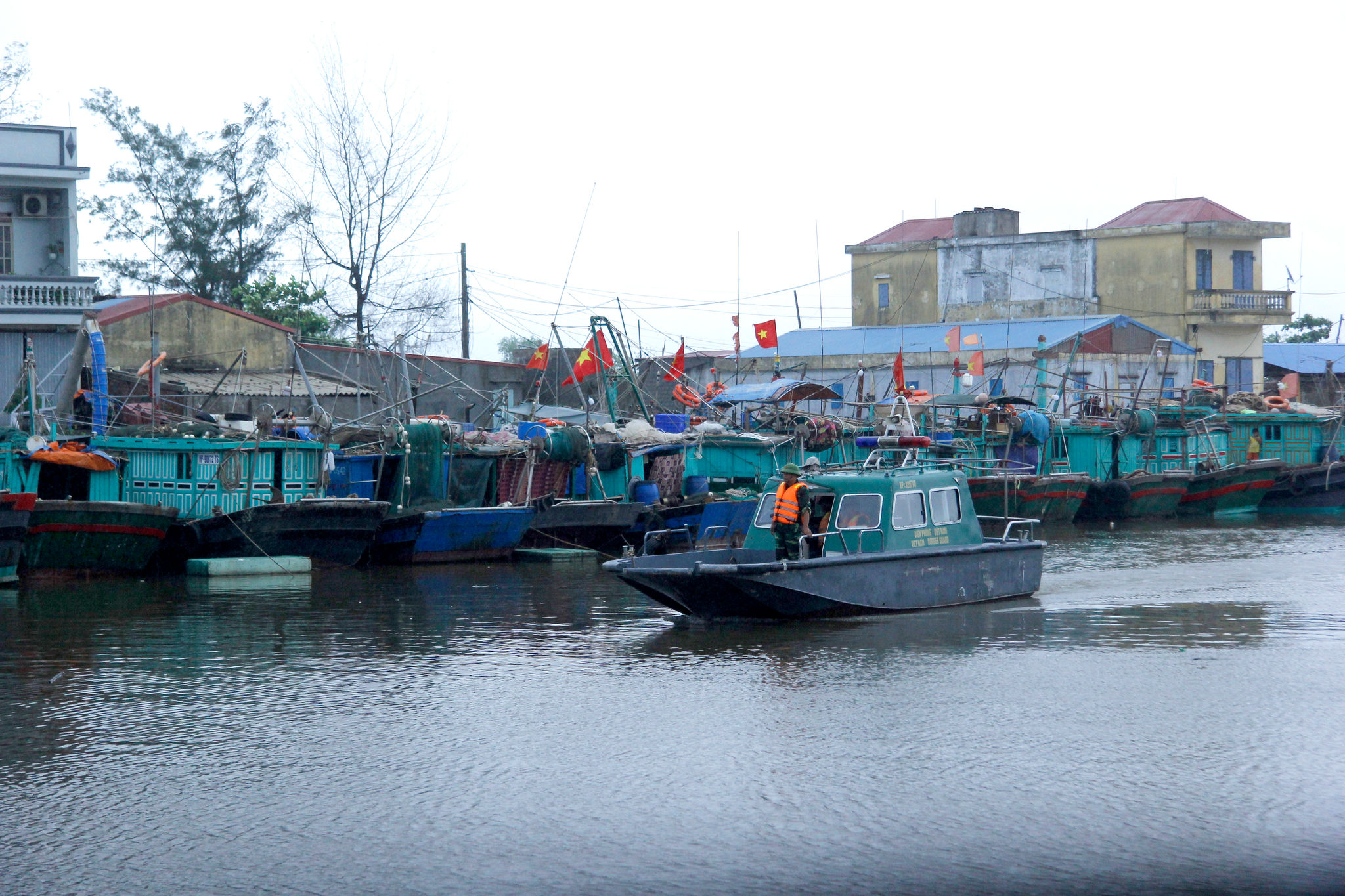 mua bao 12