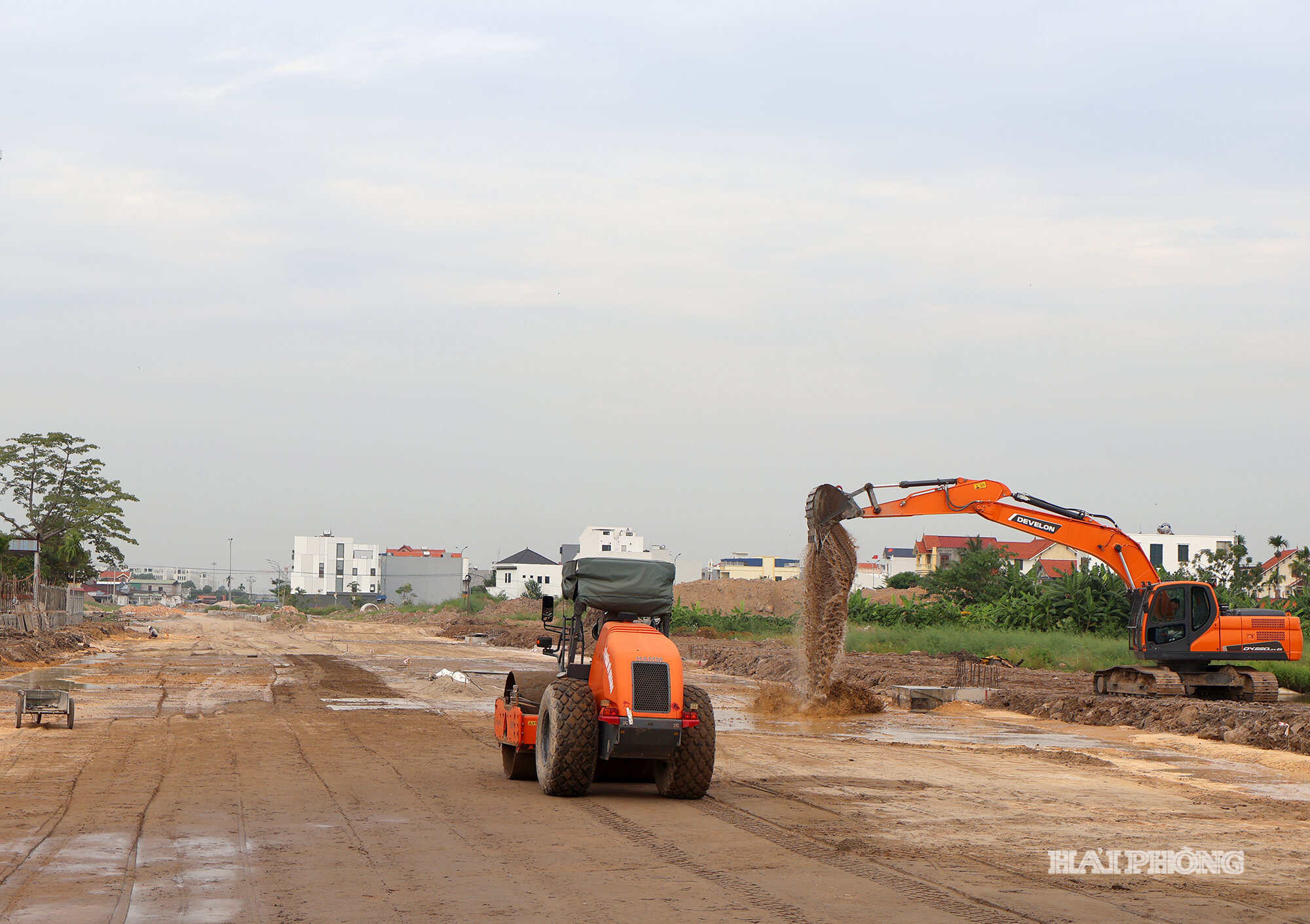 duong (2)