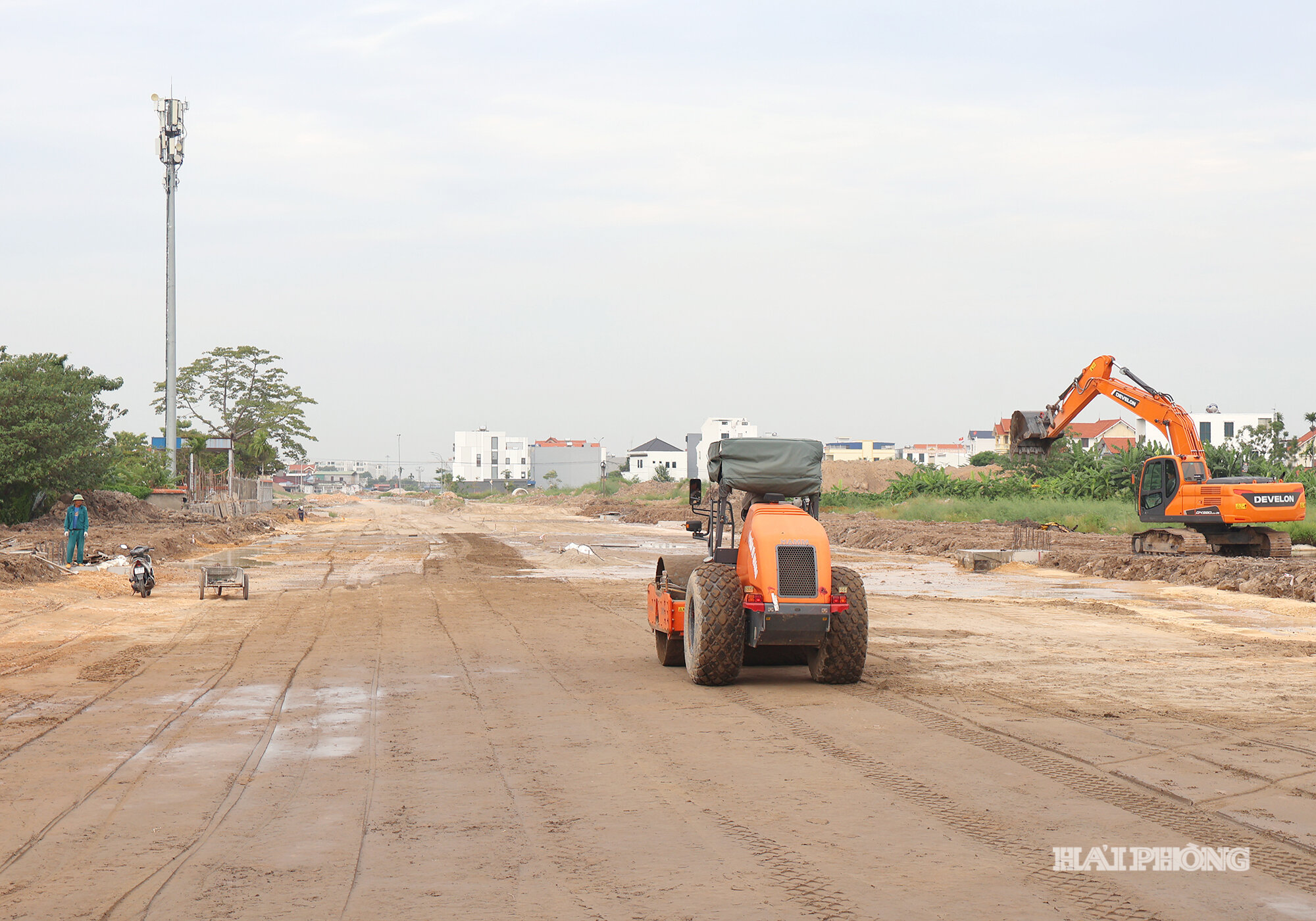 duong (3)