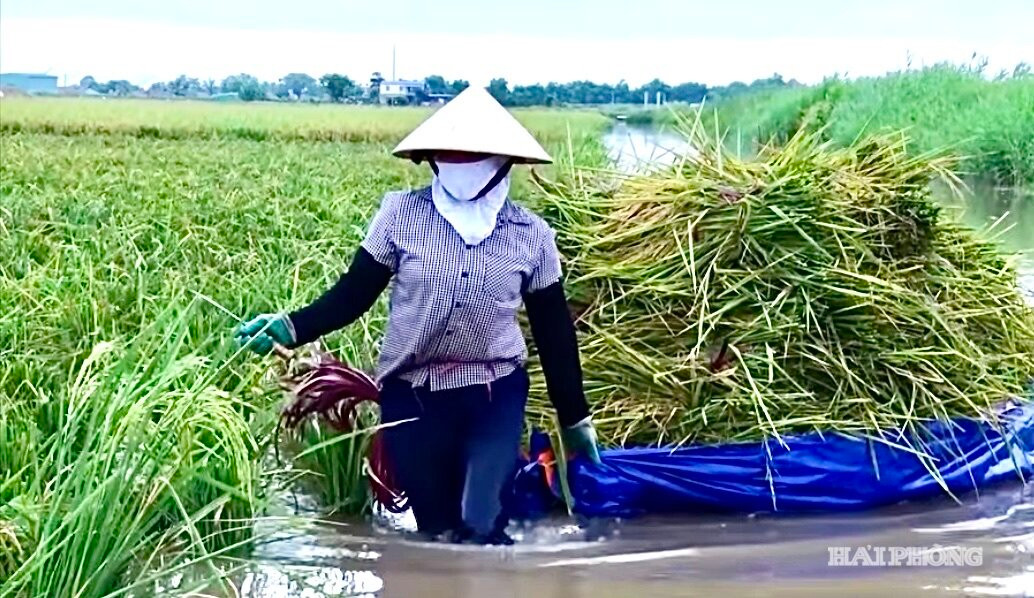 xuat khau 2