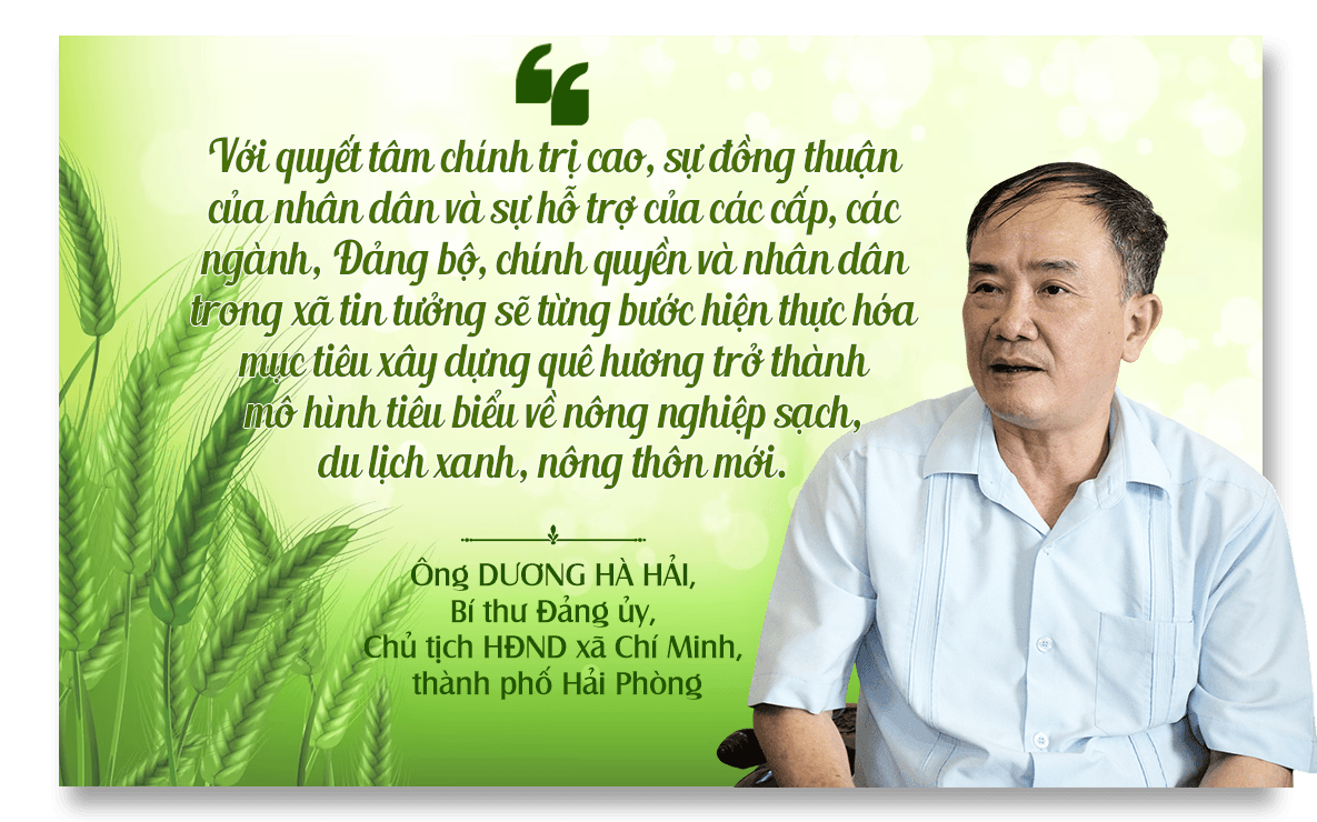 duong-ha-hai(1).png