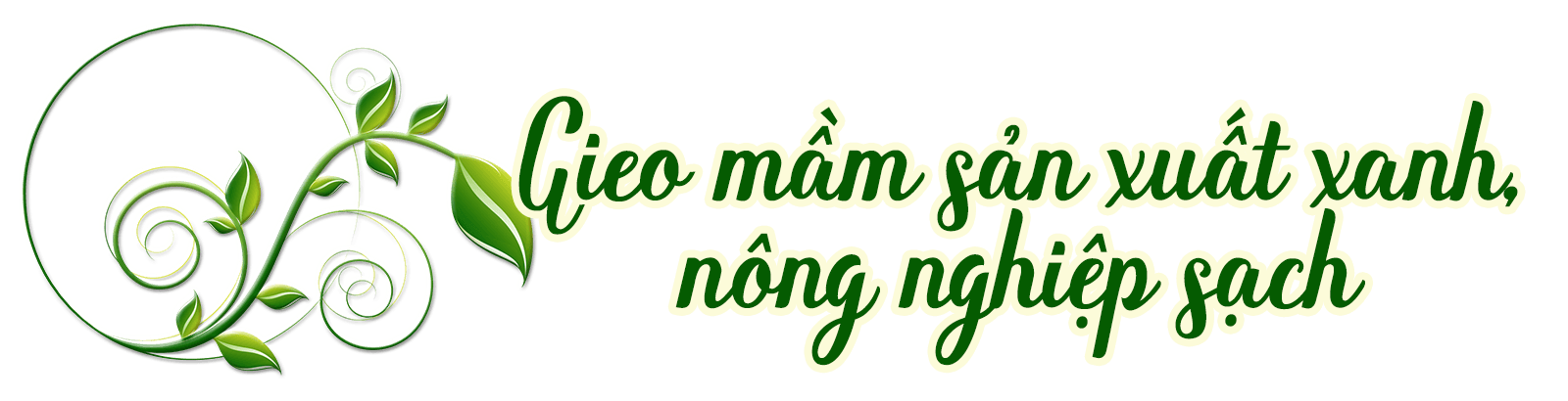 gieo-mam-nong-san-sach(1).png
