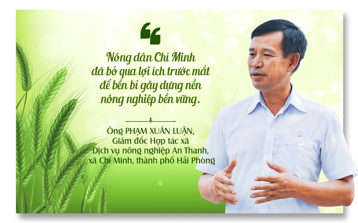 pham-xuan-luan.png