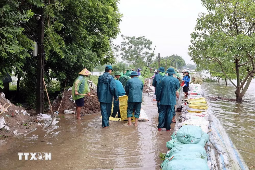 media.vietnamplus.vn-images-z8zdrw2idw-hoxuguxkjy-fj7jlbybtfqqn6glwvbc4ri-cmb8qgxhlgbpep2noyhrdqwnmlnu4hea3bqcvmrq-_ttxvn-song-bui-tran-de-3.jpg.avif