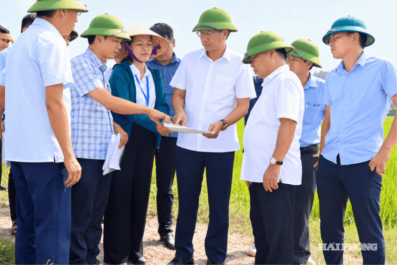 duong-sat-ha-noi-quang-ninh-d89916a666bdc5c865b9a06ce4c77912.png