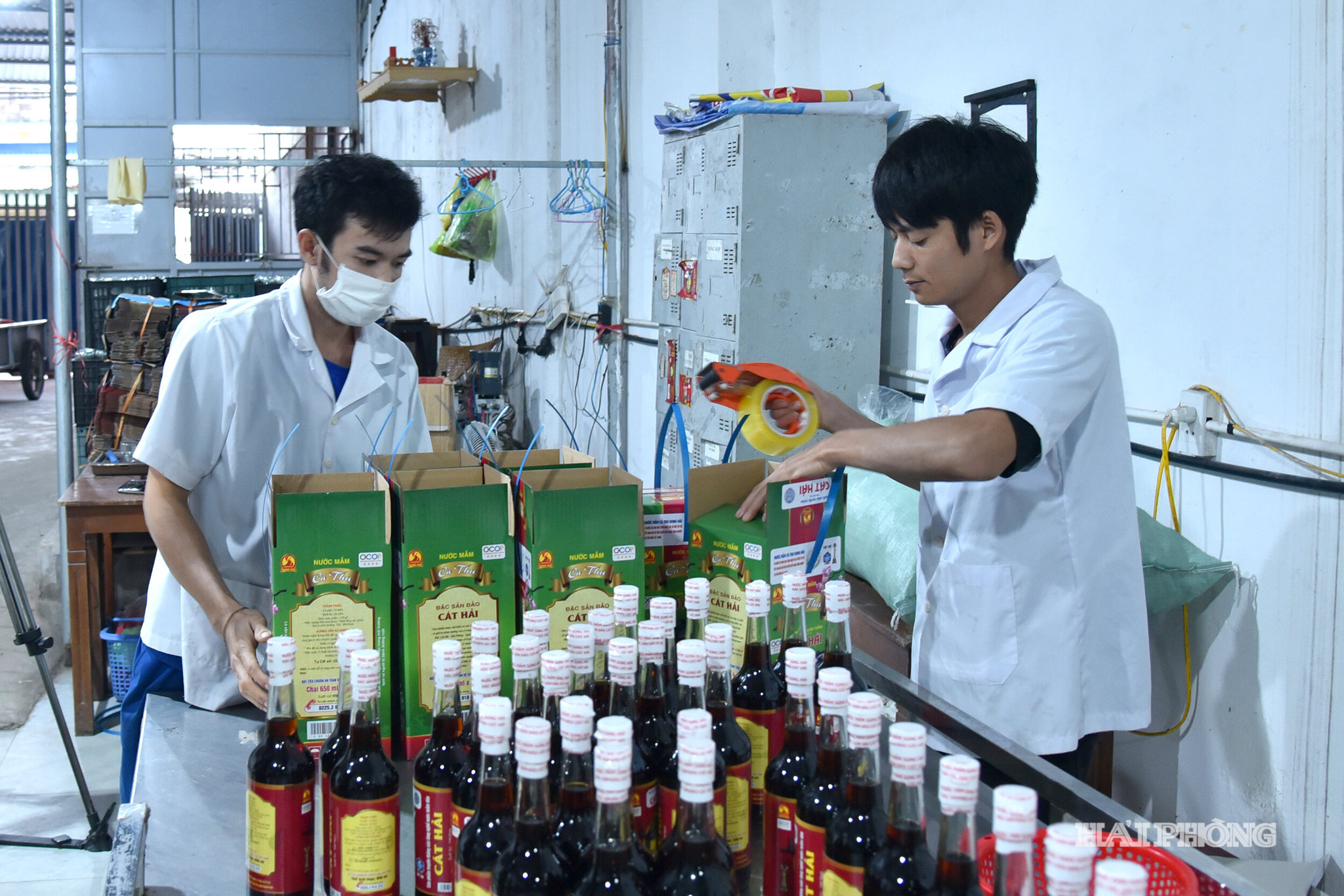 mam quang hai13