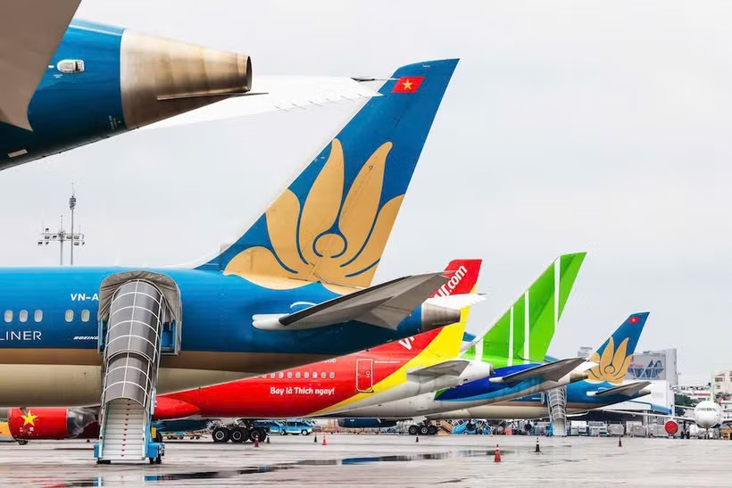 Máy bay của các hãng hàng không Việt Nam tại Sân bay quốc tế Nội Bài. (Ảnh: PV/Vietnam+)