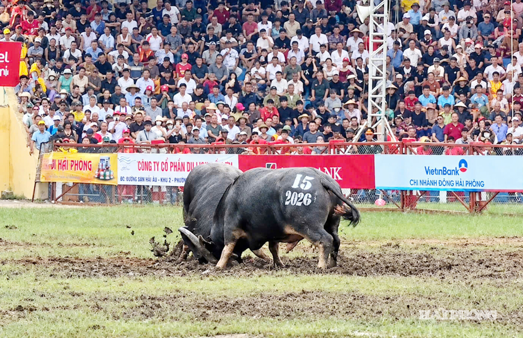 tu ket choi trau 1