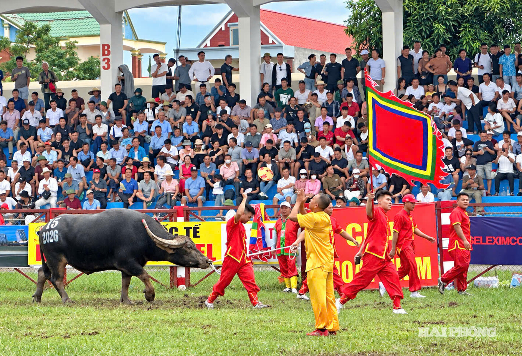 tu ket choi trau 5