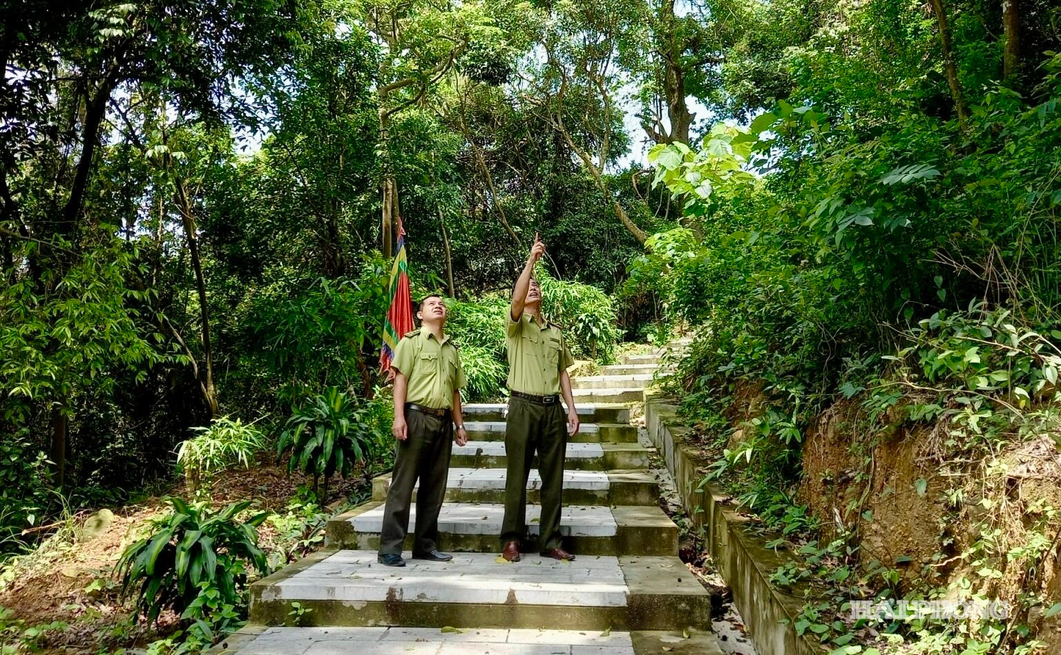 phong-chong-chay-rung.jpg