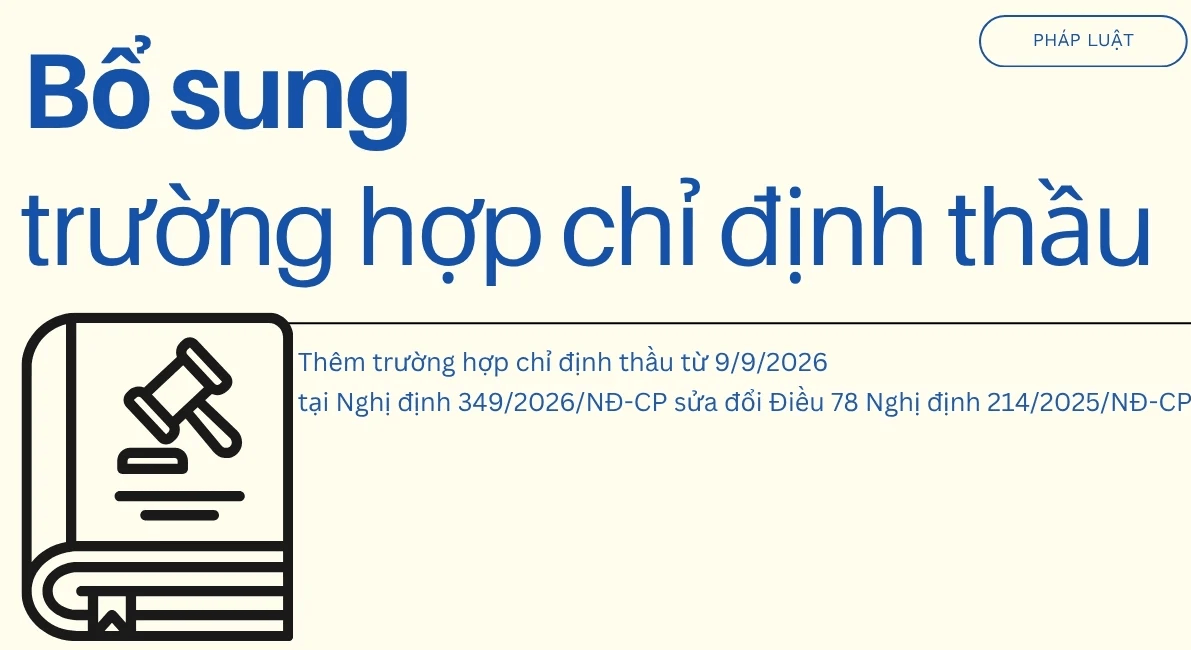 chi dinh thau