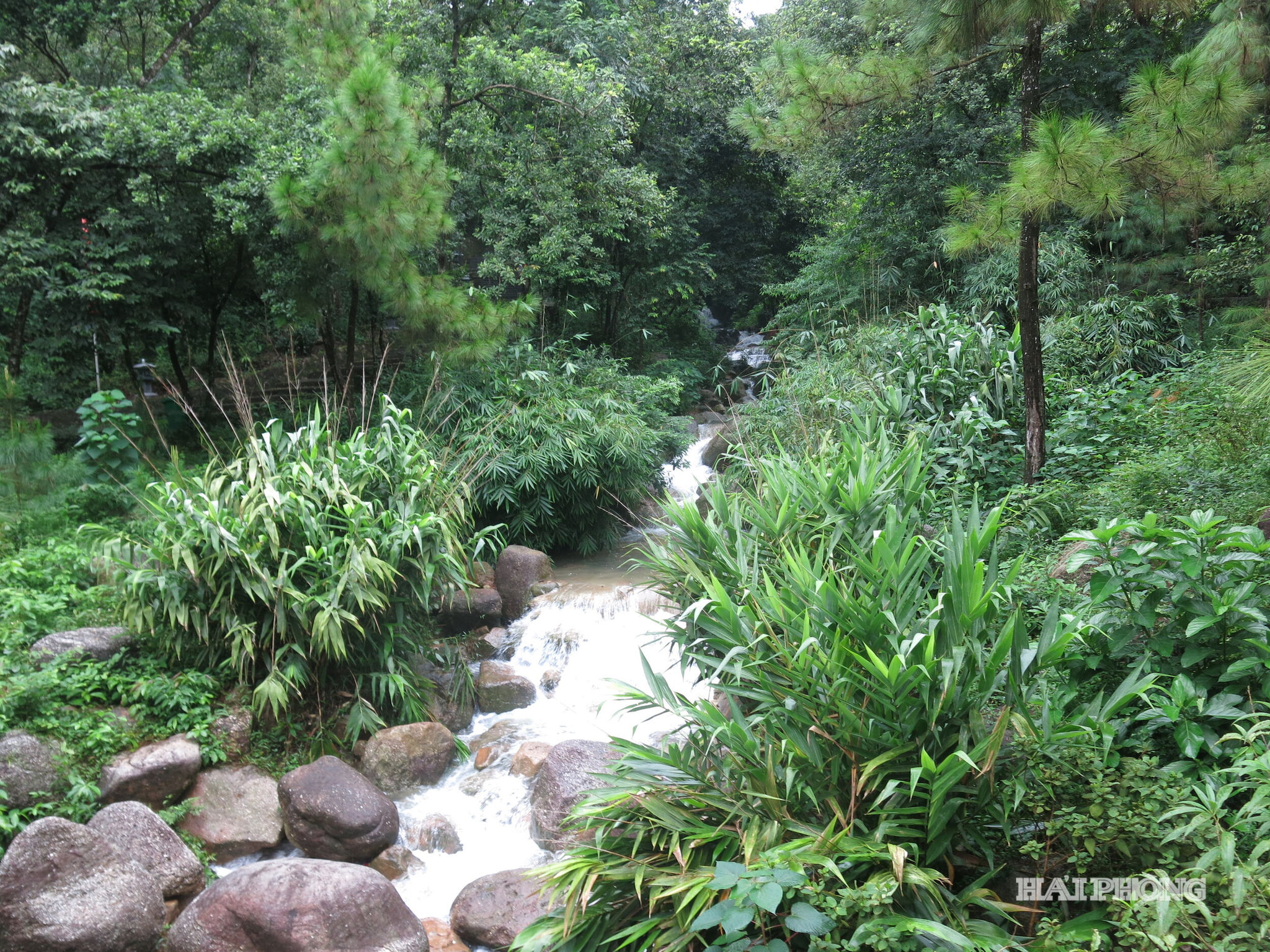 Một góc rừng Côn Sơn, phường Trần Hưng Đạo có suối chảy trong mát.