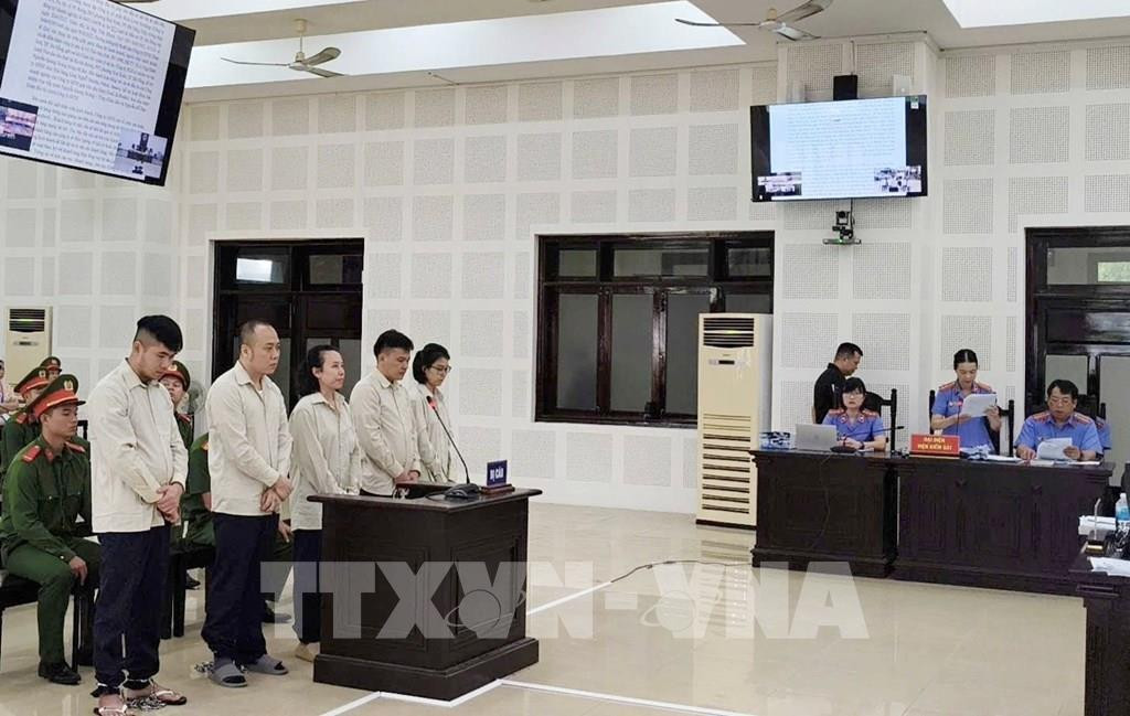 image.bnews.vn-mediaupload-org-2026-09-24-_133842-da-nang-xet-xu-vu-lua-dao-chiem-doat-tai-san-voi-hang-nghin-nguoi-bi-hai.jpg