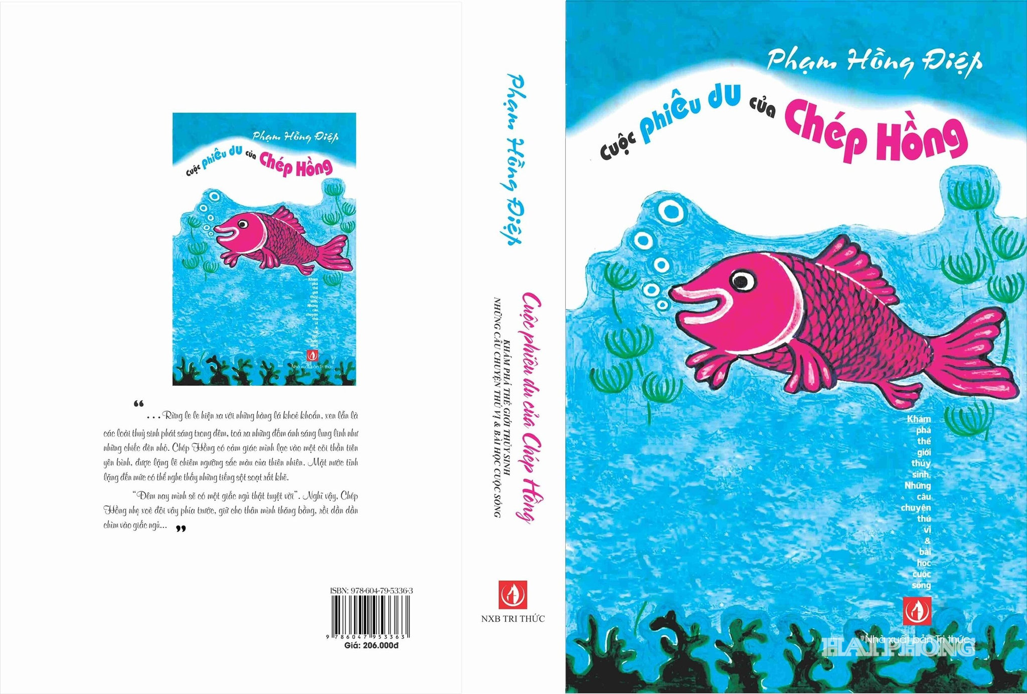 ca-chep1.jpg