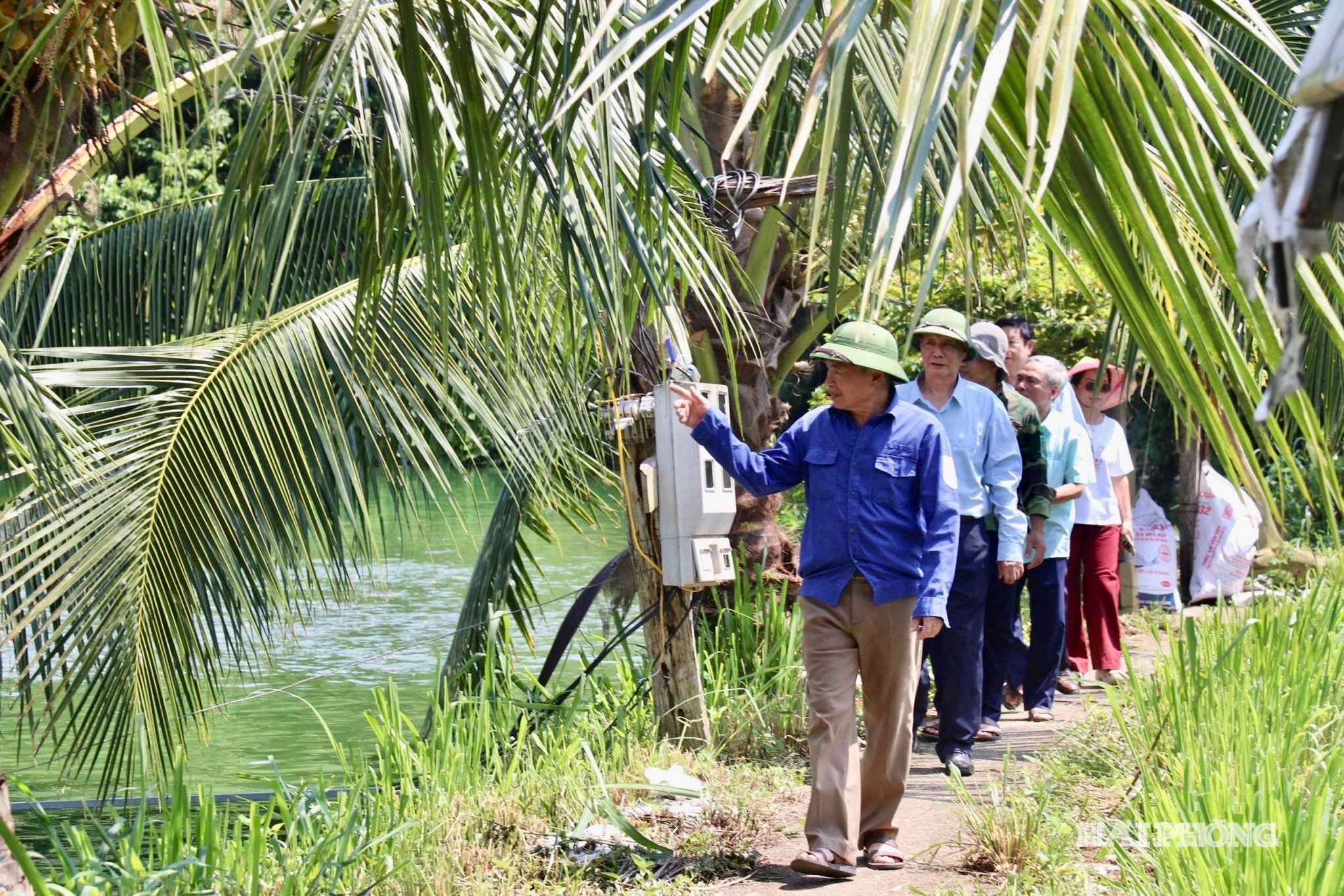 dong-huong (3)