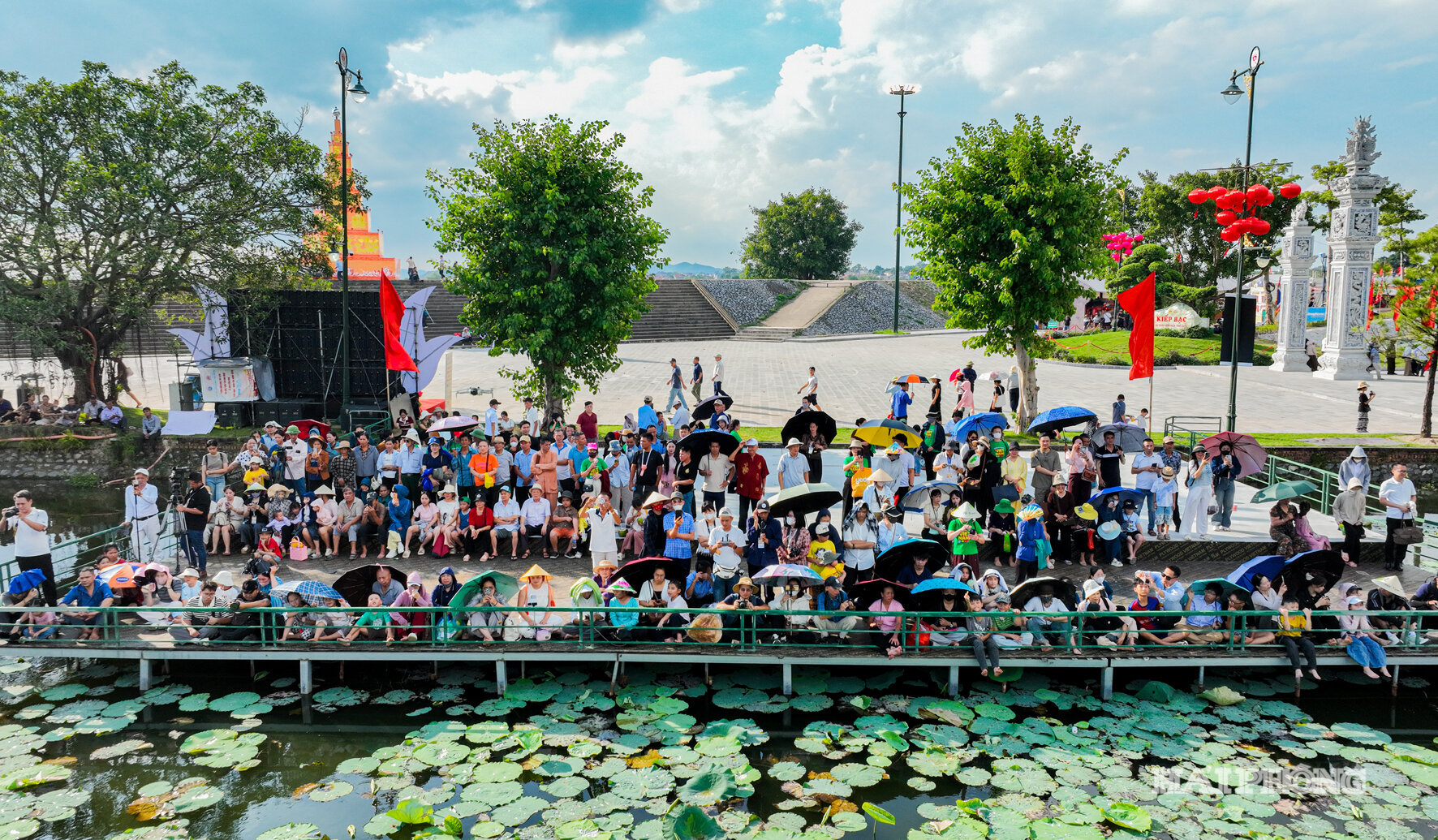 dji_0980(1).jpg