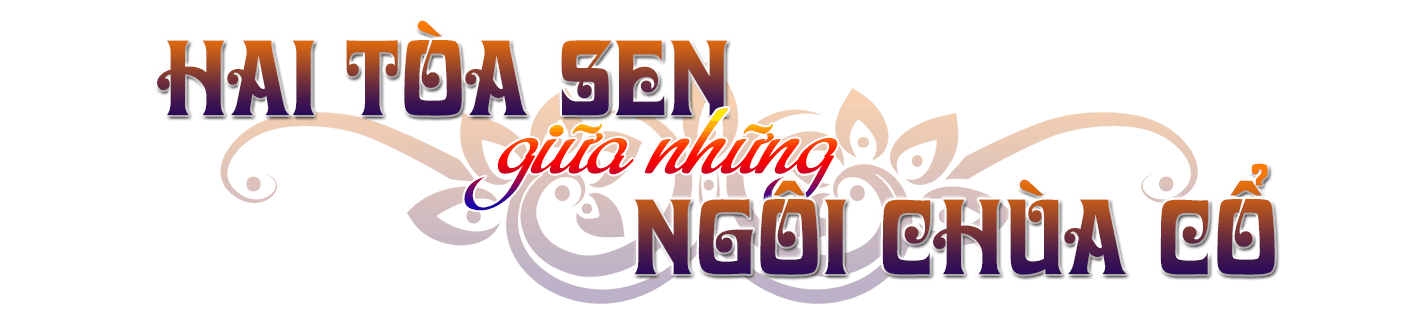 hoa-sen-giua-nhung-ngoi-chua-co.png
