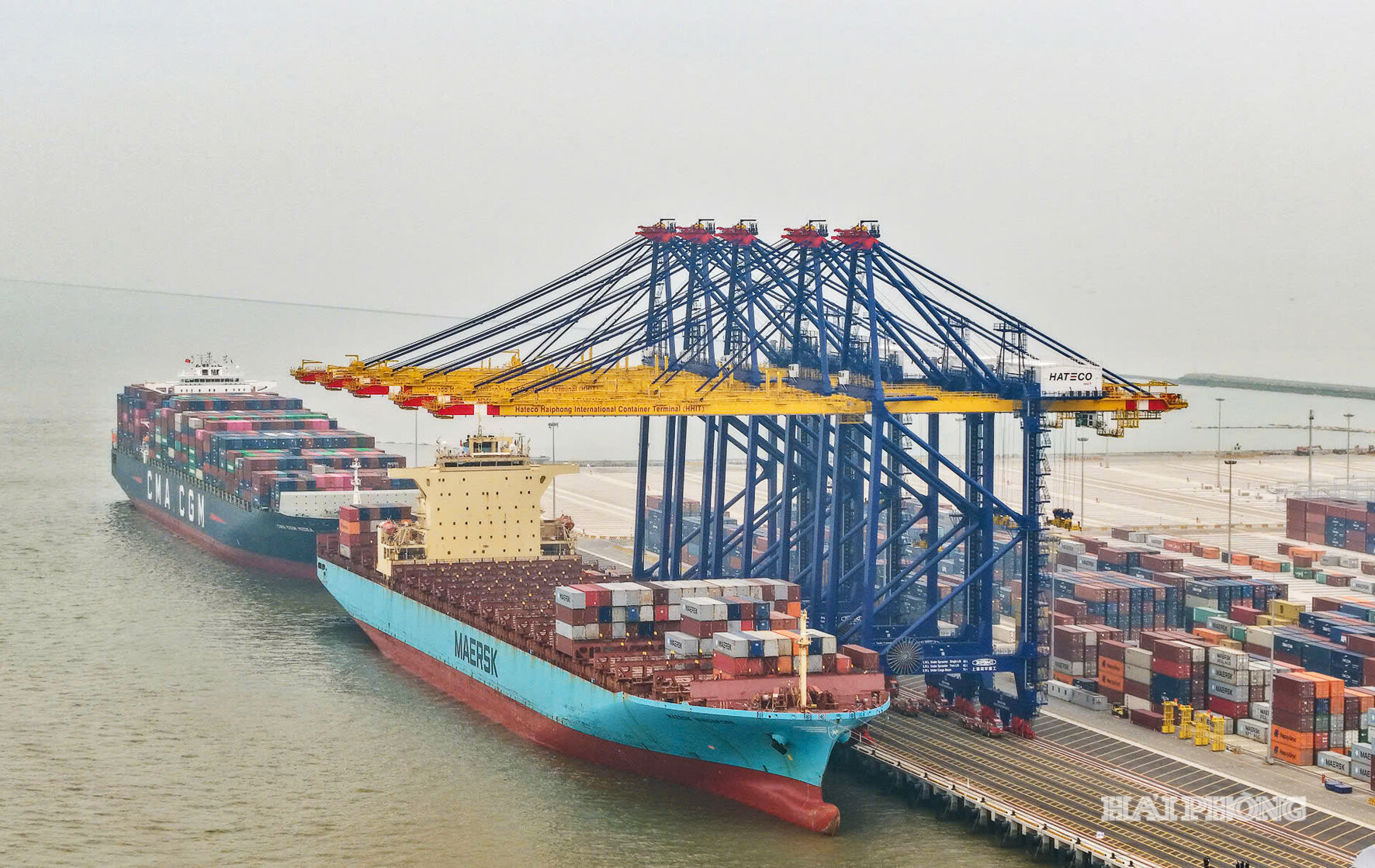 Cảng container quốc tế Hateco Hải Phòng. Ảnh: LÊ DŨNG