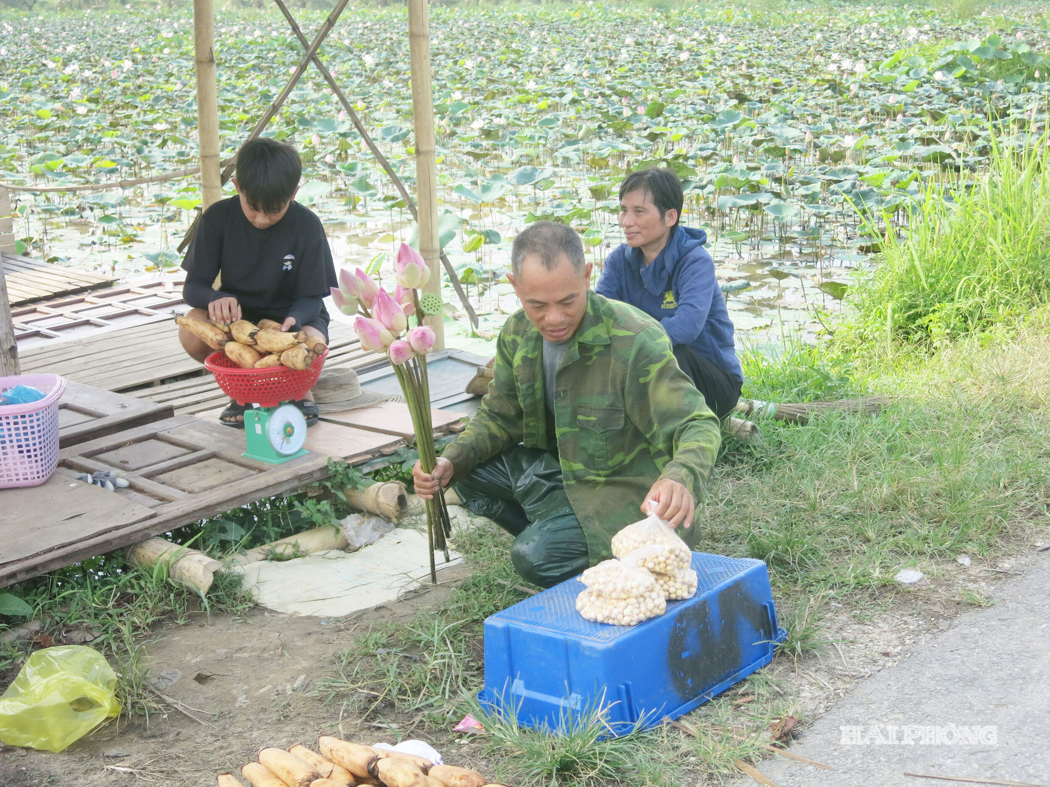 trai-nghiem-4-56b59232a44bb3fb742b4a9999e866e6.jpg