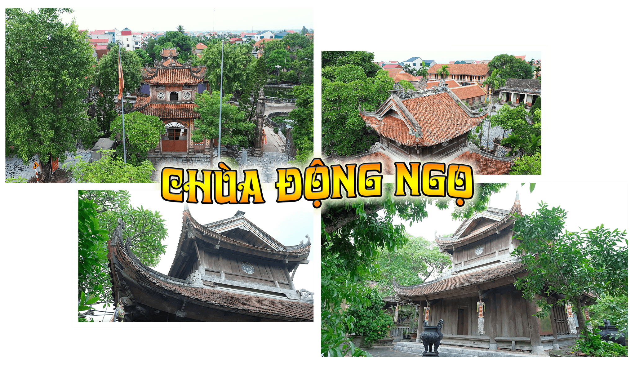 chua-dong-ngo(1).png