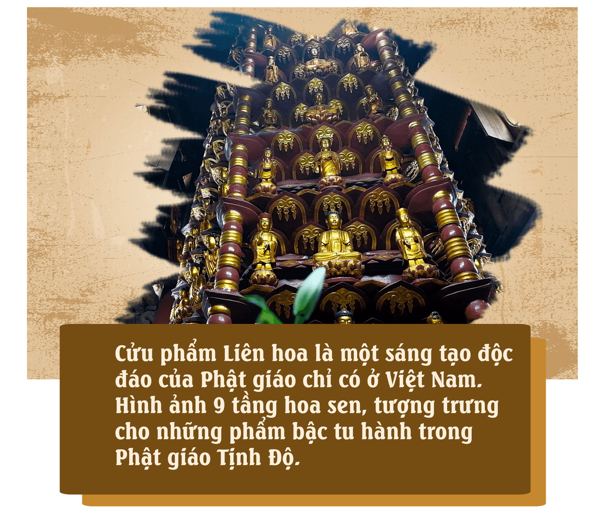 cuu-pham5.png
